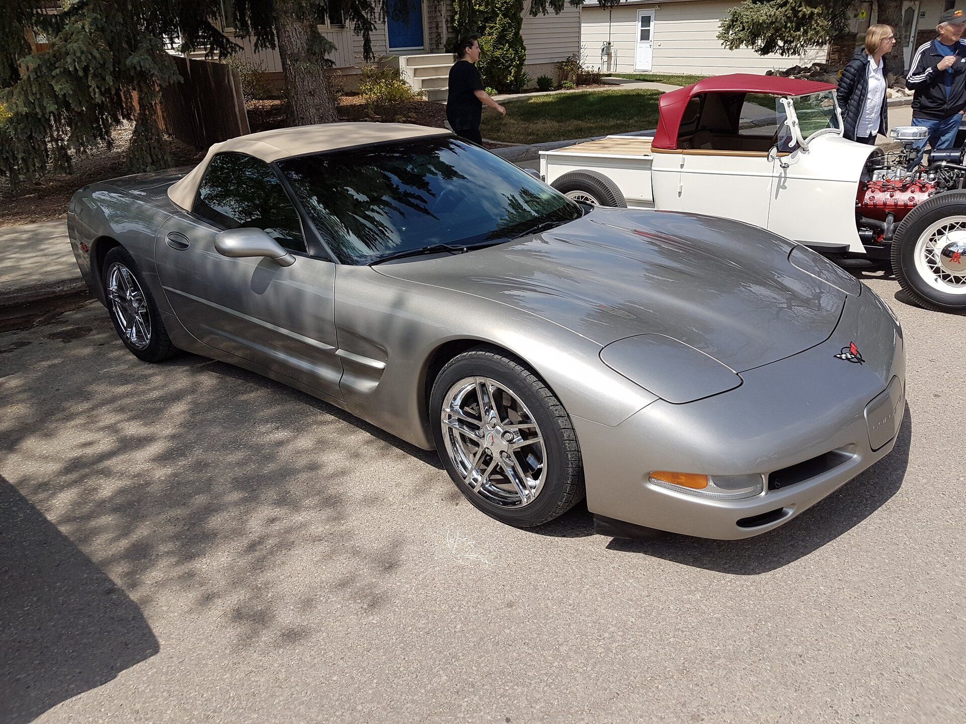 01_vette.jpg