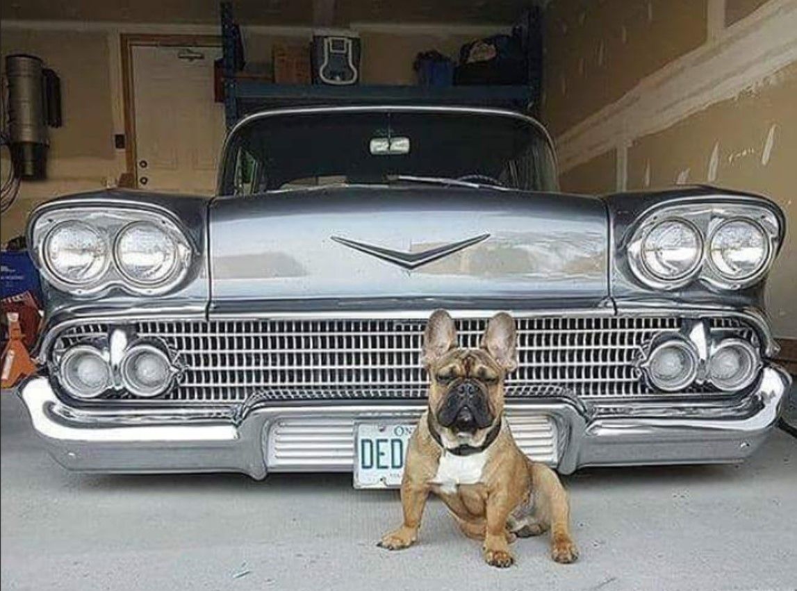 1 fifty eight31 guard duty.jpg