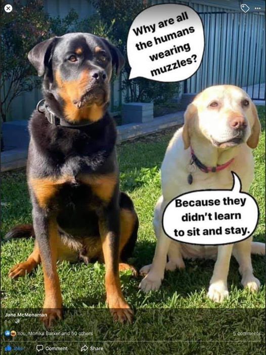 116748444_3448989695121244_1980075494328247834_n (1).jpg