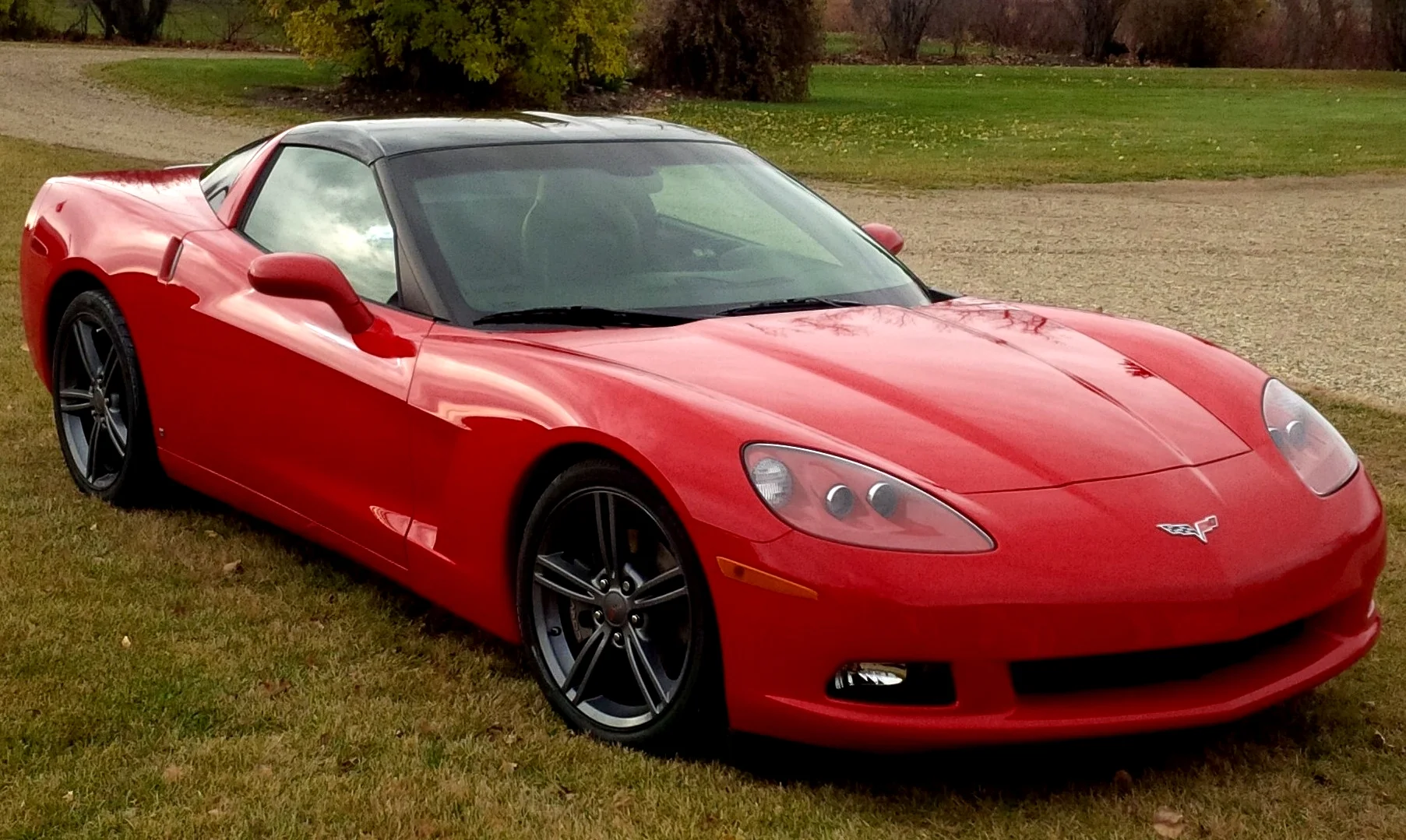 1778685648826.webp