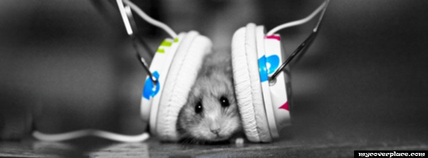 20-Mouse-with-headphones-listening-music.jpg