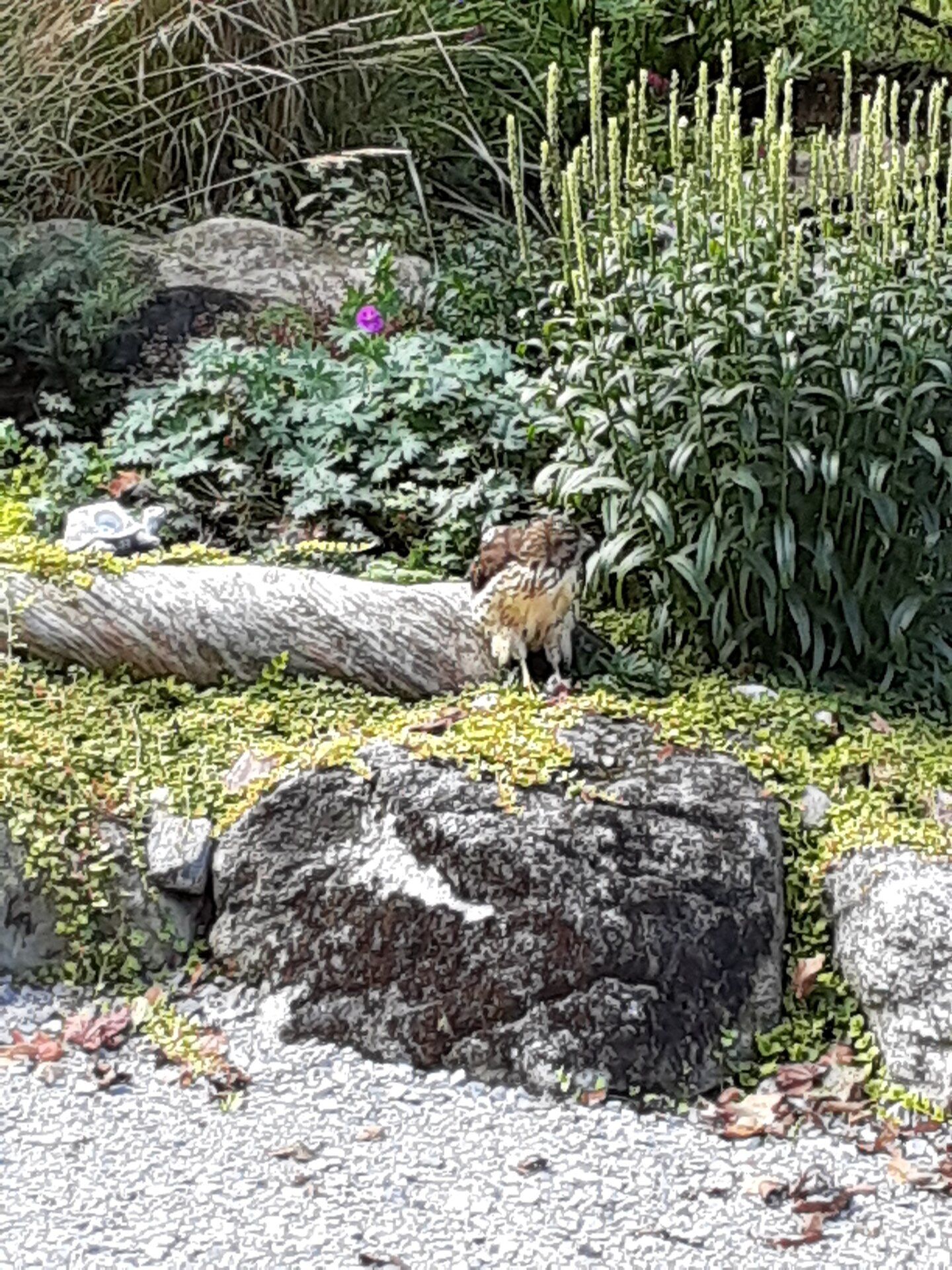 20200917_110226 2.jpg