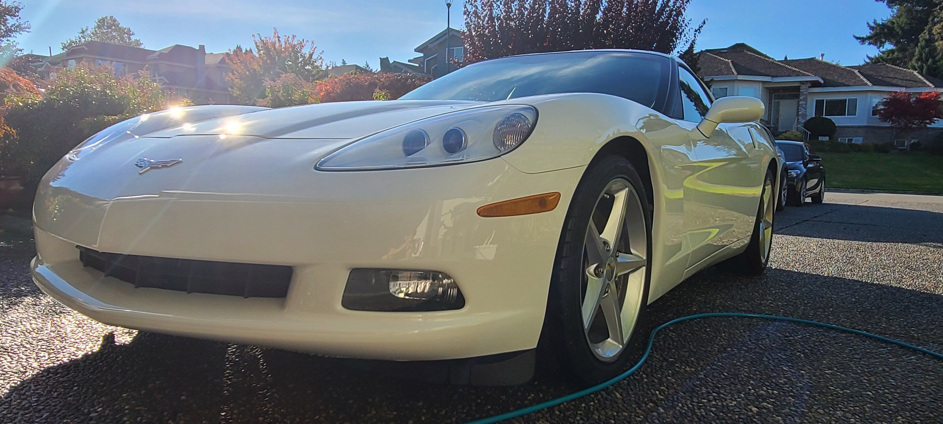 20201101_134515.jpg