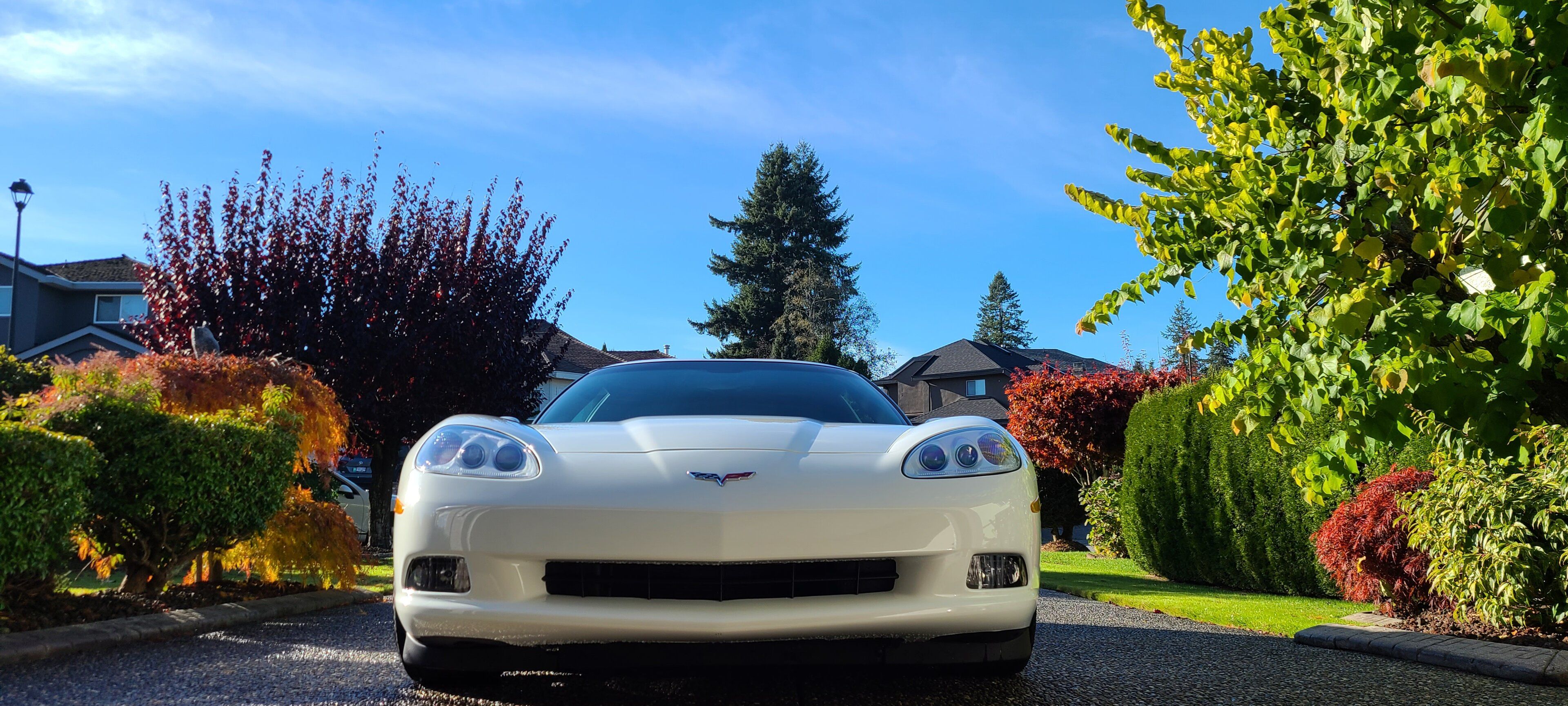 20201101_135304.jpg