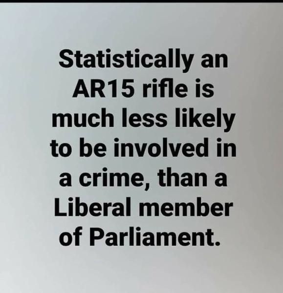 AR15 & Criminal Act blk on wht.jpg