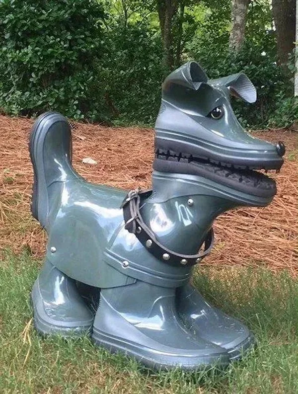 boot-dog.webp