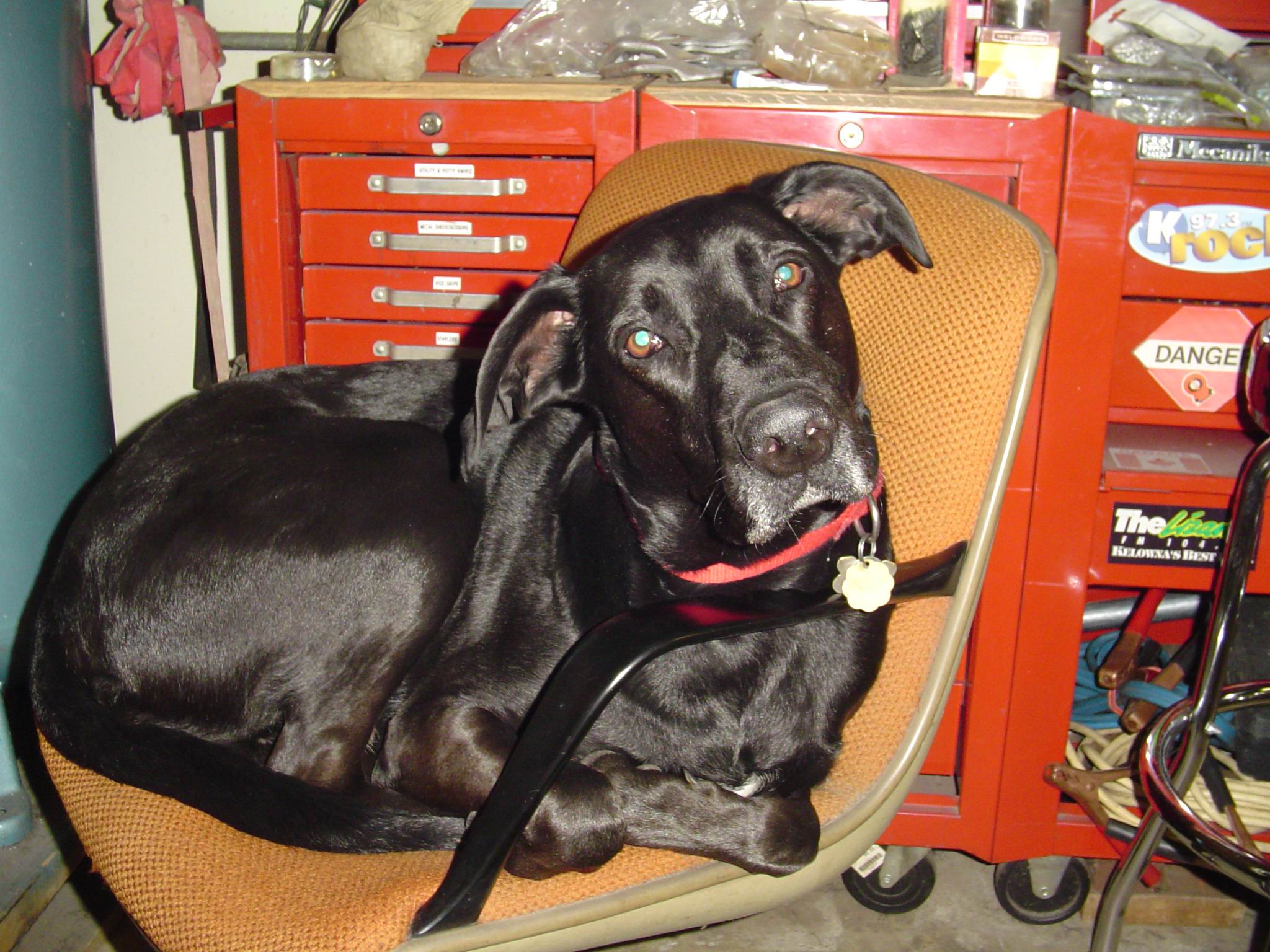 Chevy In Orange Garage Chair.jpg