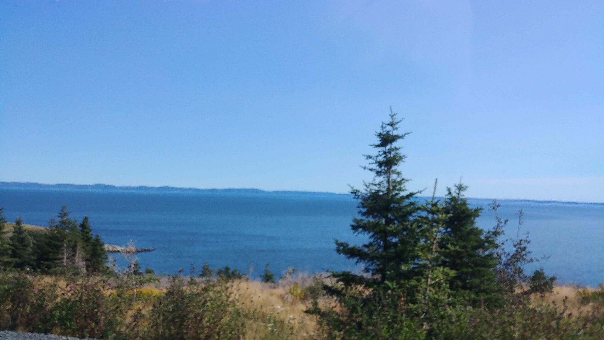 Corvete day pic 02A.jpg