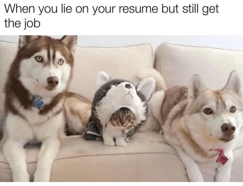 couch-lie-on-resume-but-still-get-job-o.webp