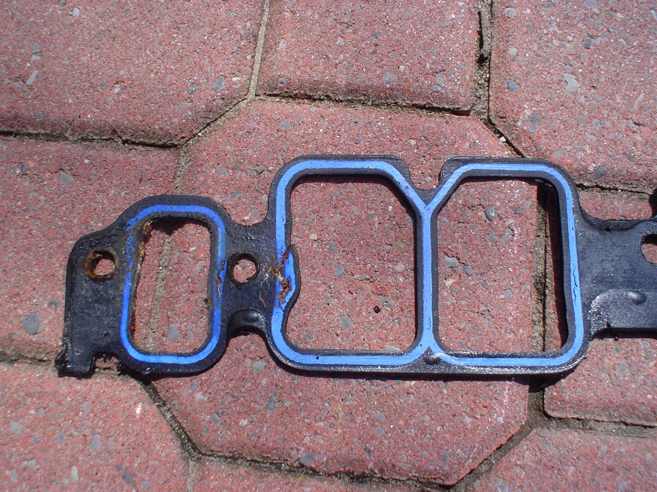 Disintegrating Gasket-1.JPG