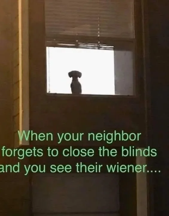 Exposed-Wiener.webp