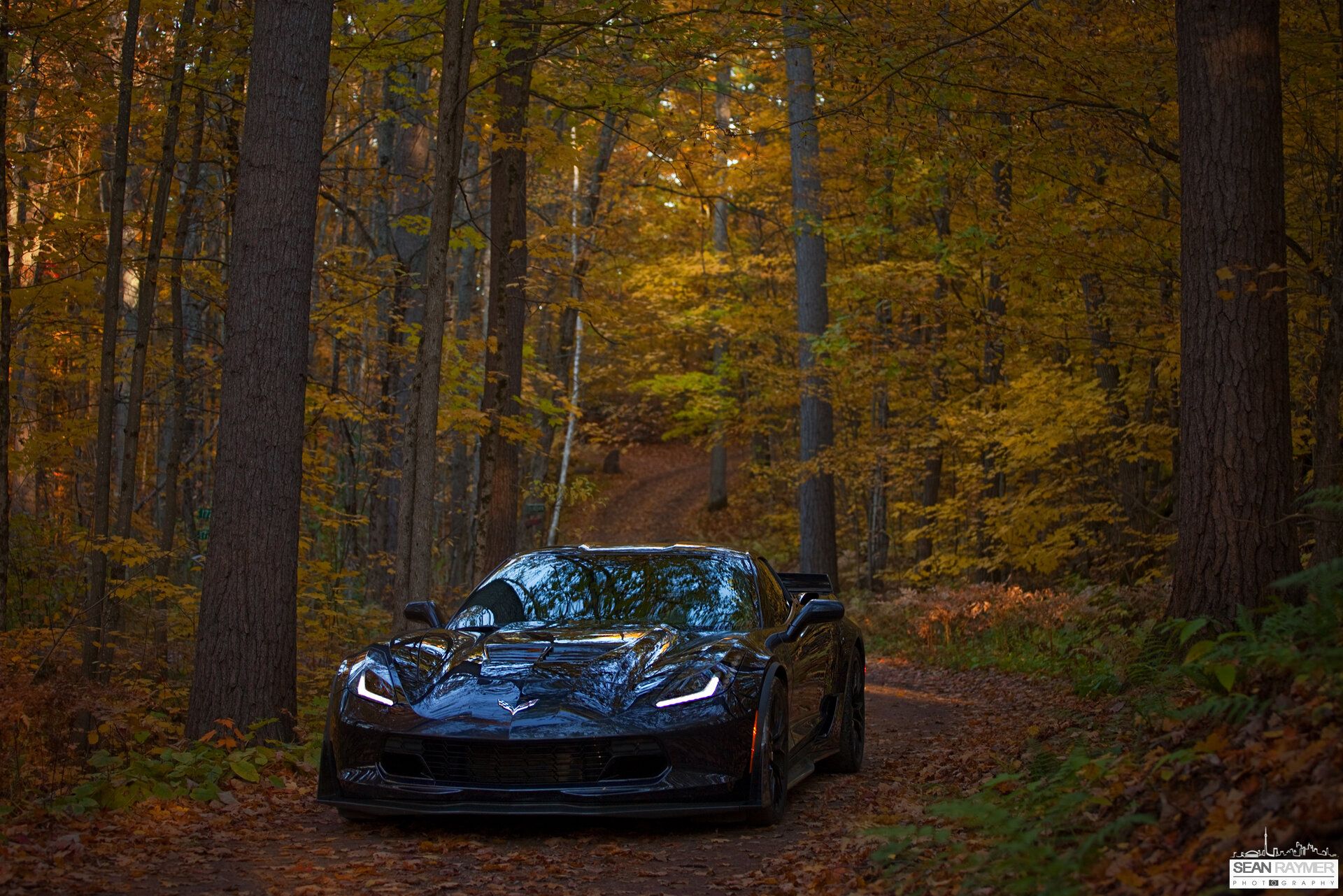 Fall'ing in love all over again.