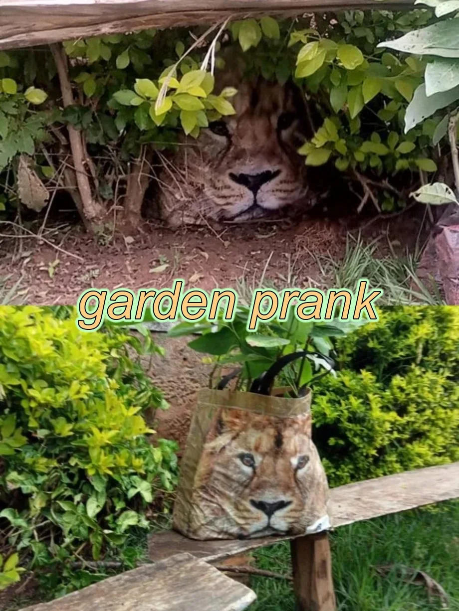 garden prank.webp
