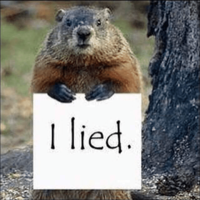 Ground hog.png