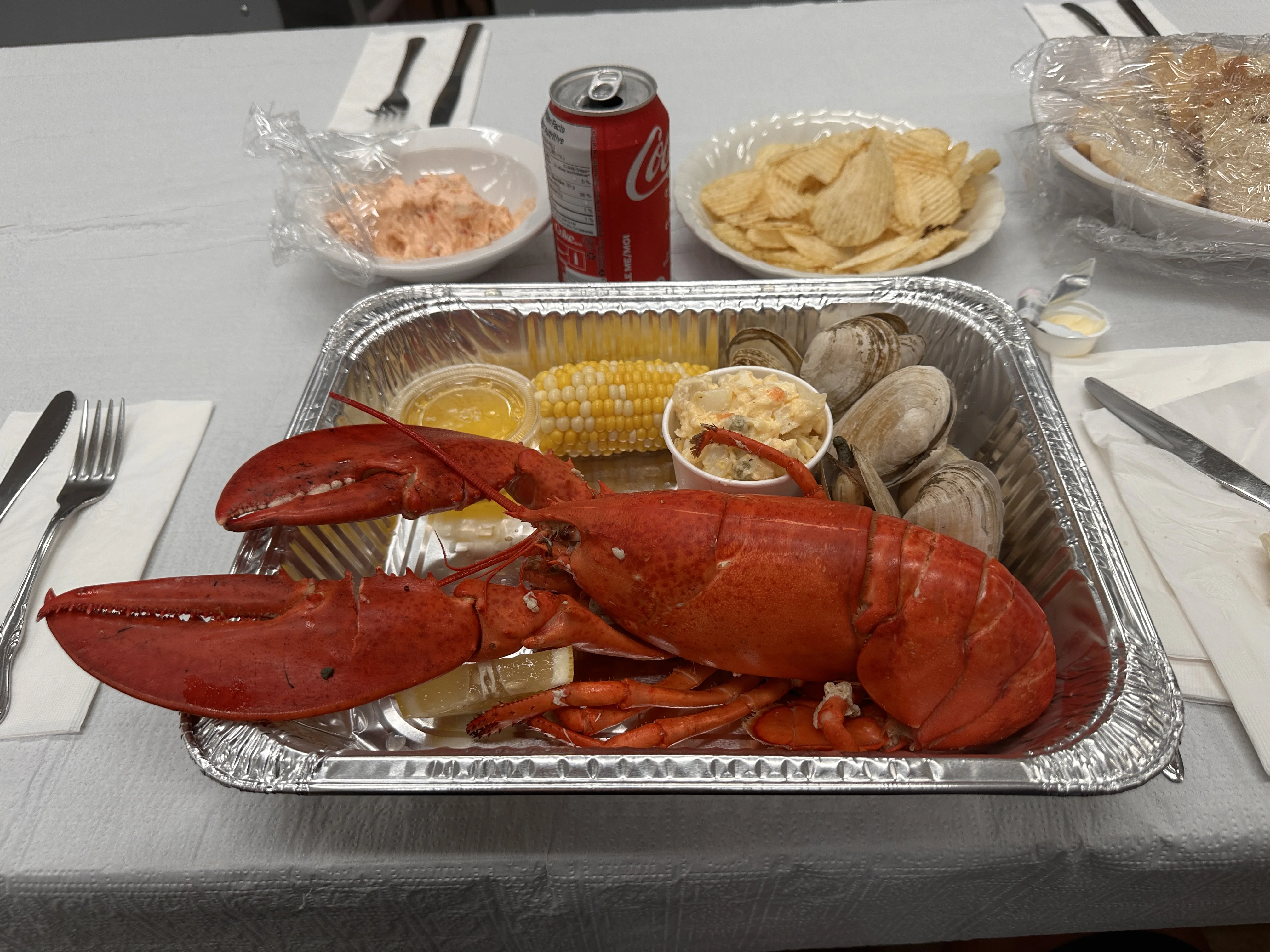 IMG_1231.webp