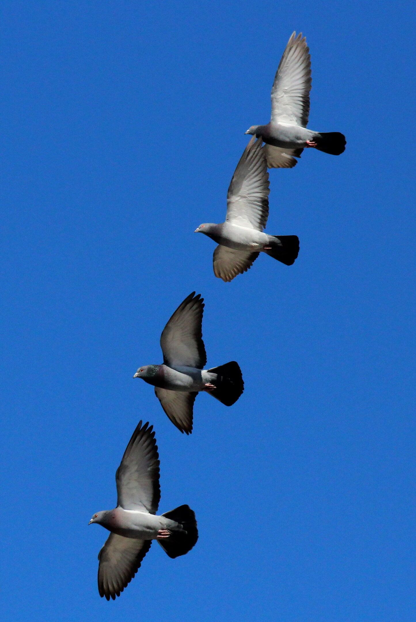 IMG_7661 cropped and adjusted.jpg