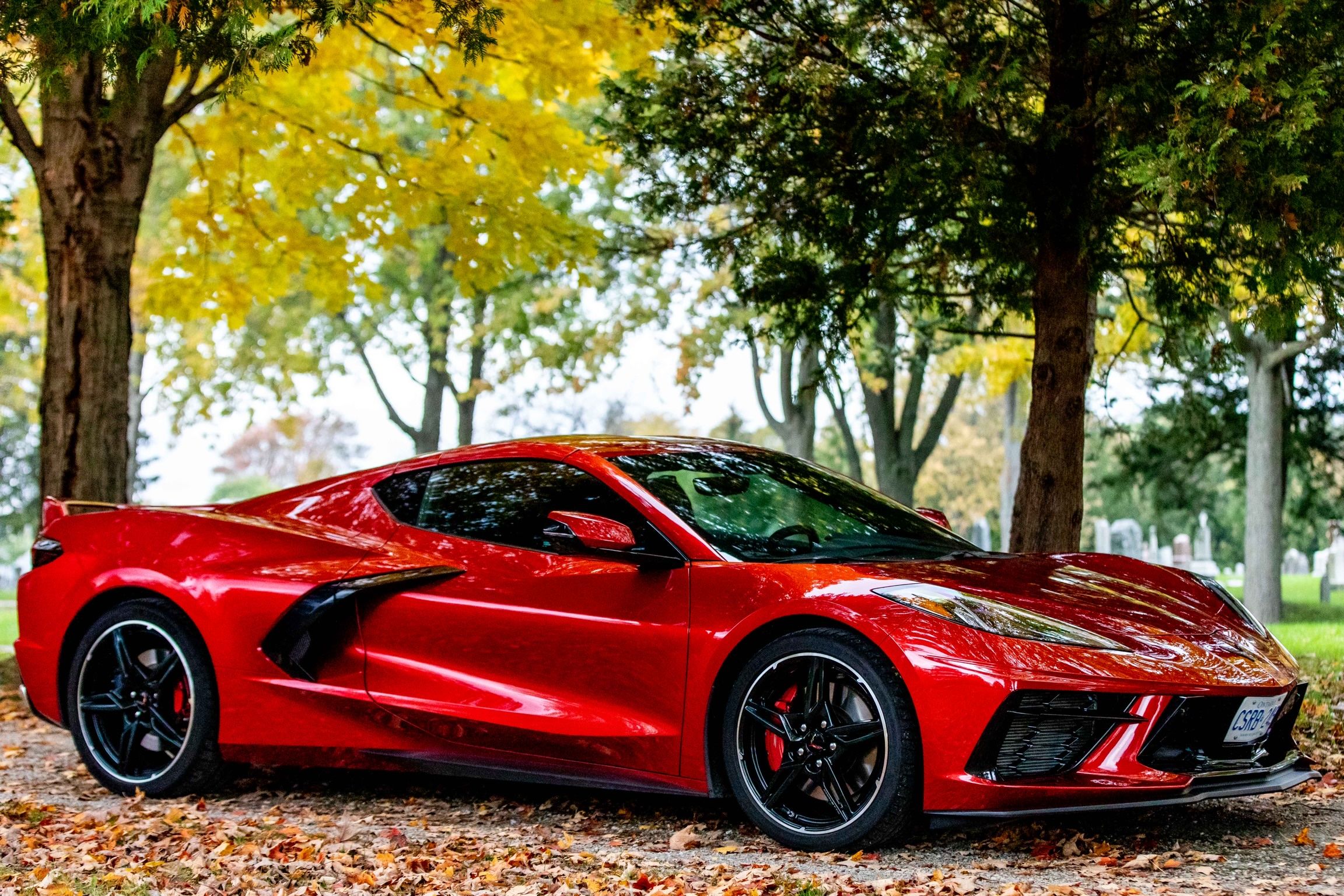 iOS Image - 1198170097.jpg