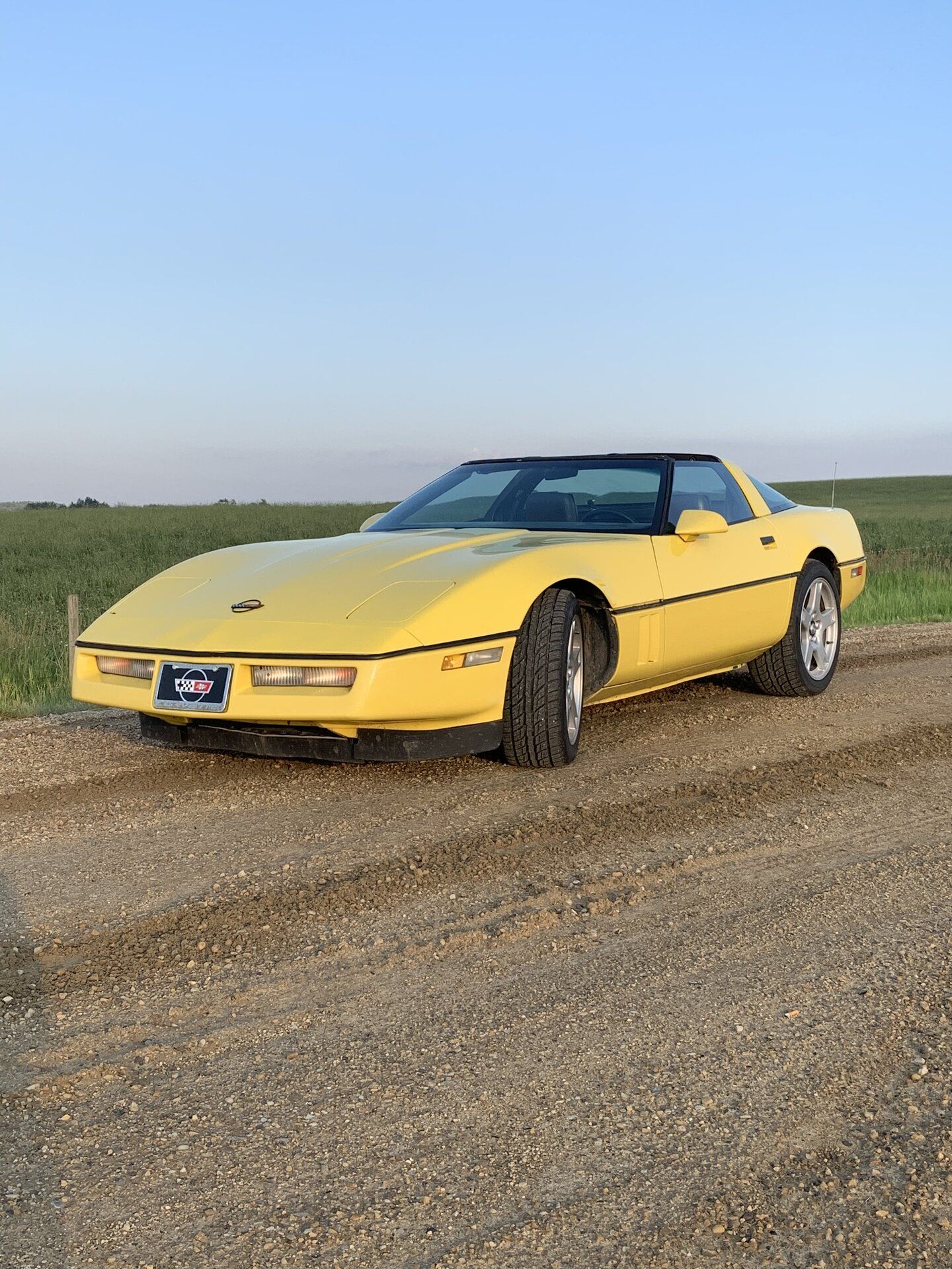 iOS Image - 1492916752.jpg