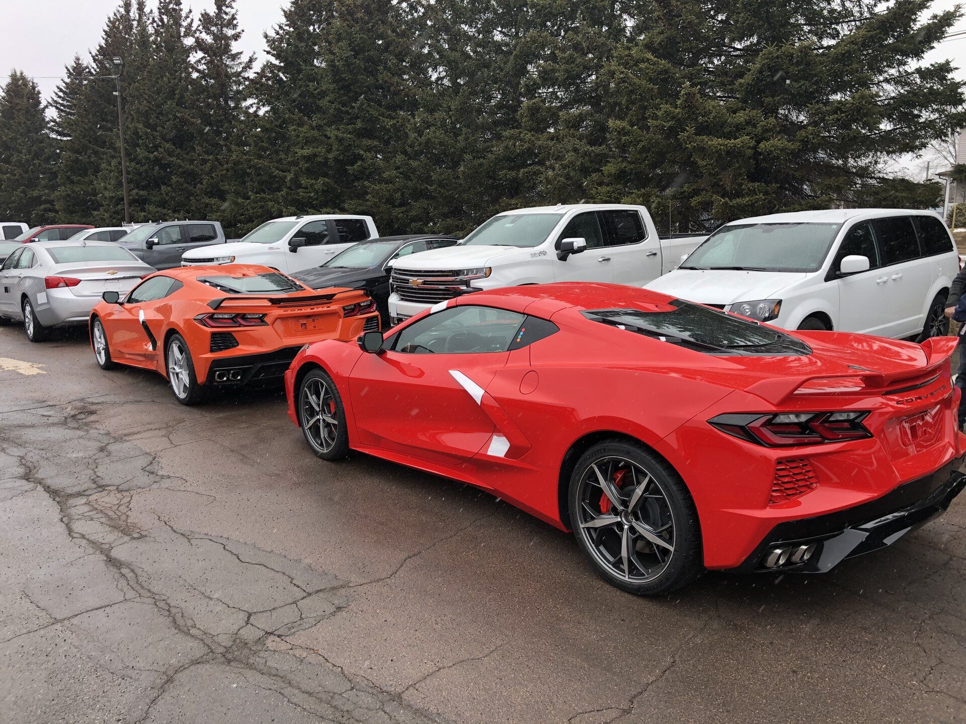 iOS Image - 1707150812.jpg