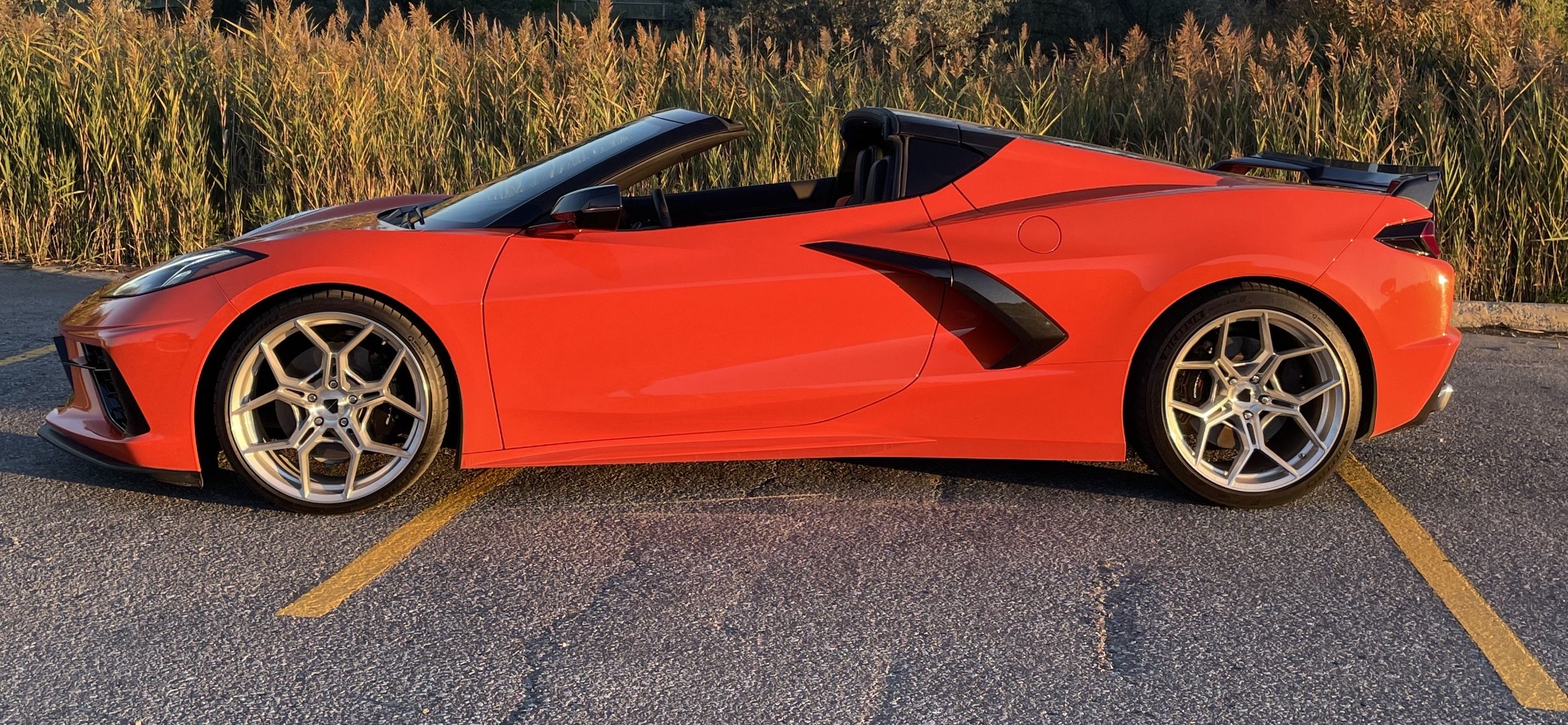 iOS Image - 1920686360.jpg