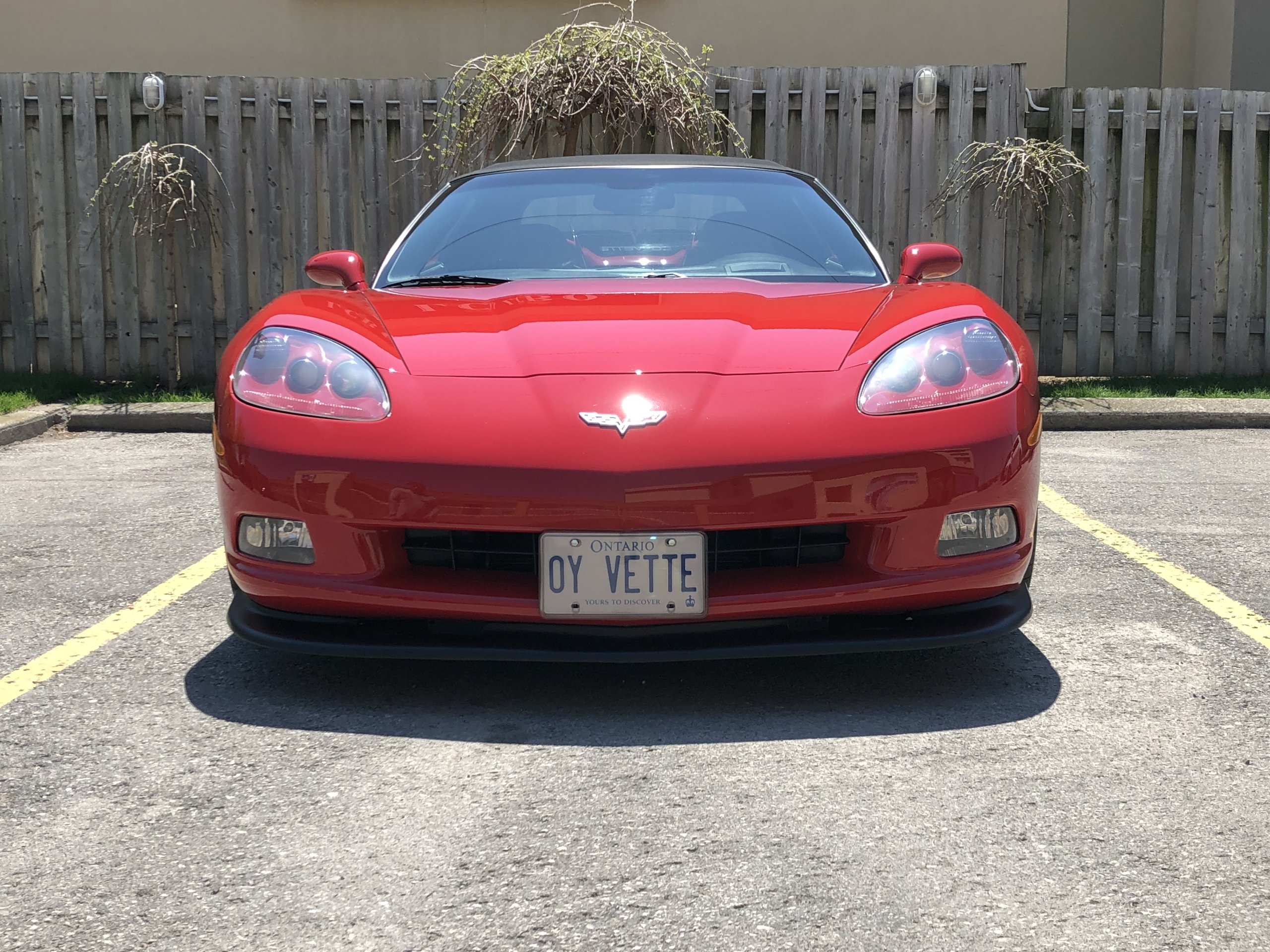 iOS Image - 1950905466.jpg