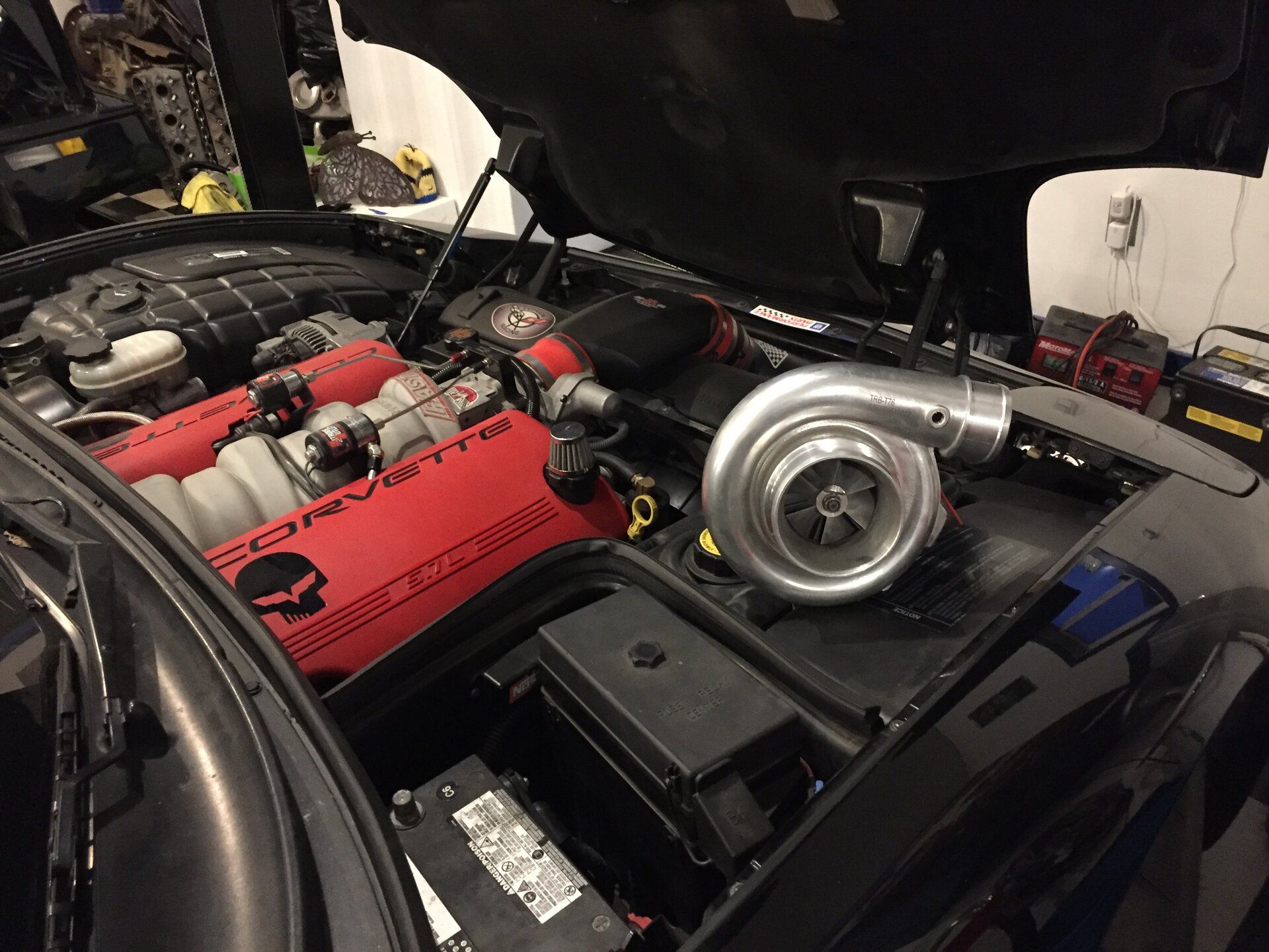 iOS Image - 2233863787.jpg