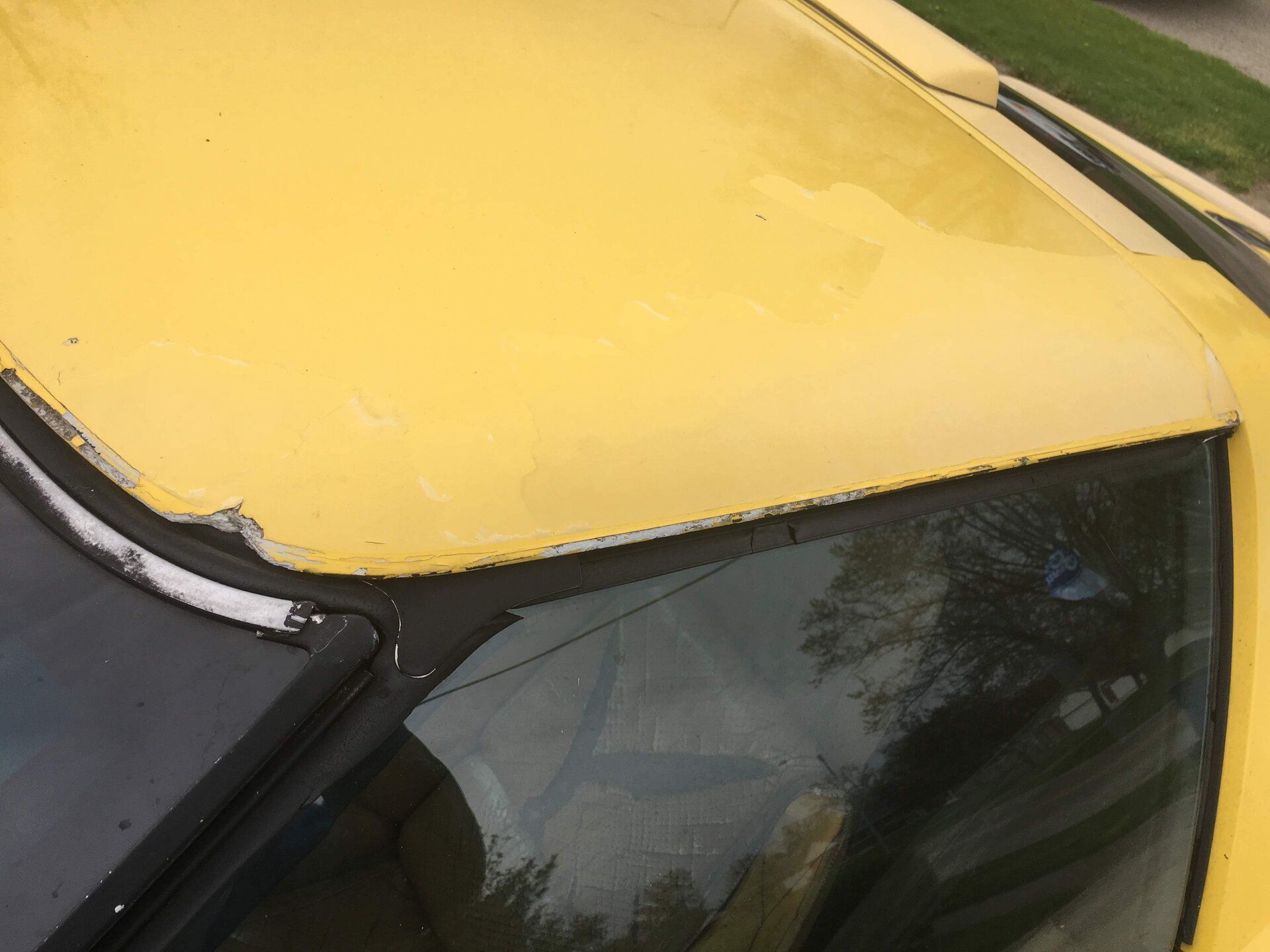 iOS Image - 2420793464.jpg