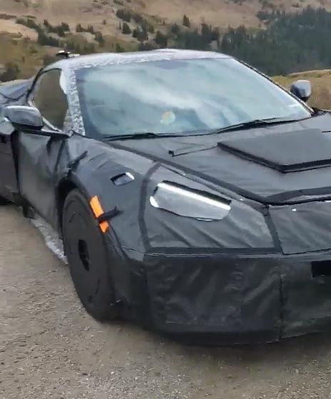 iOS Image - 2428946236.jpg