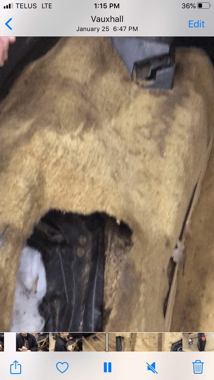 iOS Image - 243905620.png