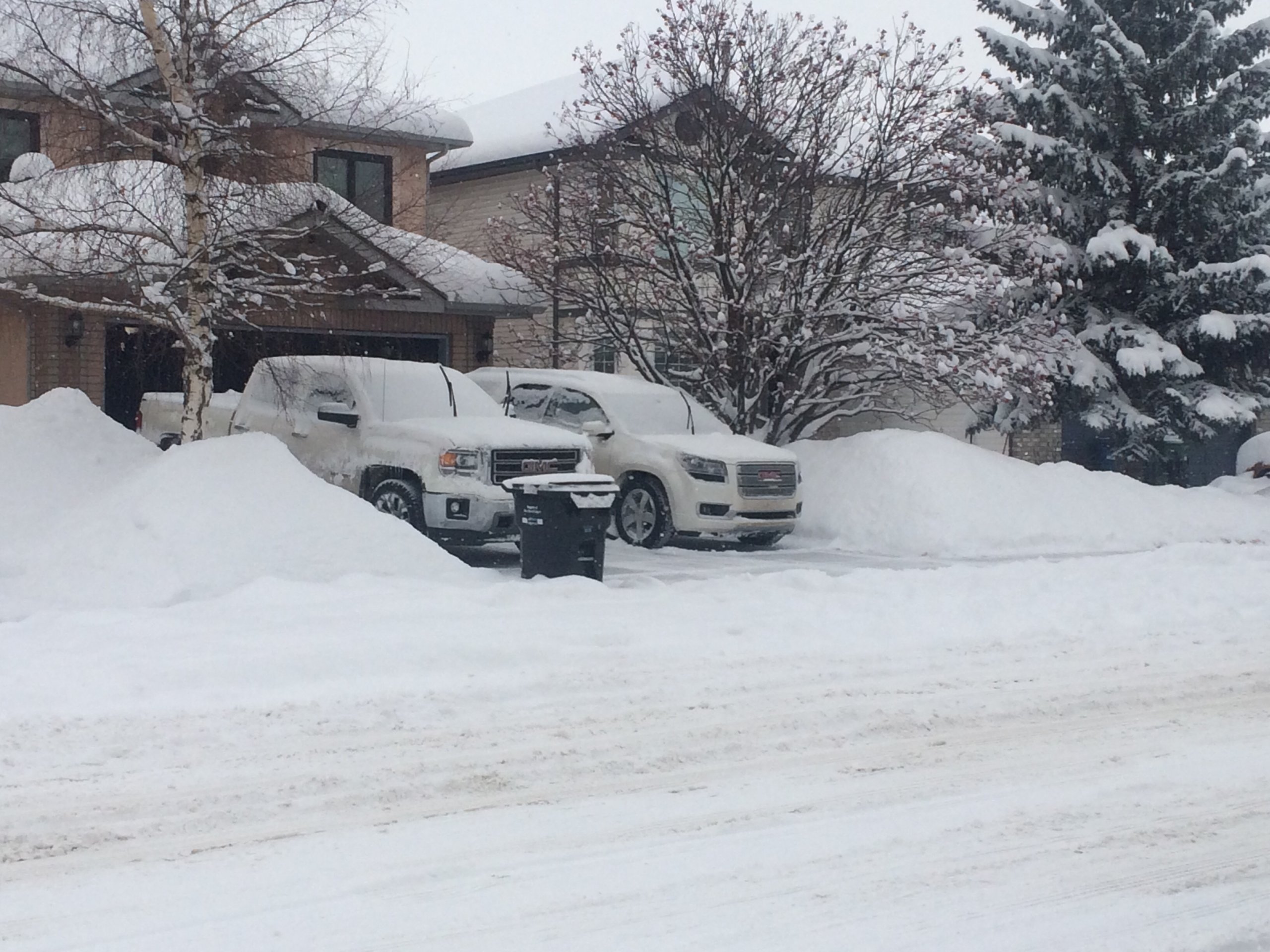 iOS Image - 248043676.jpg