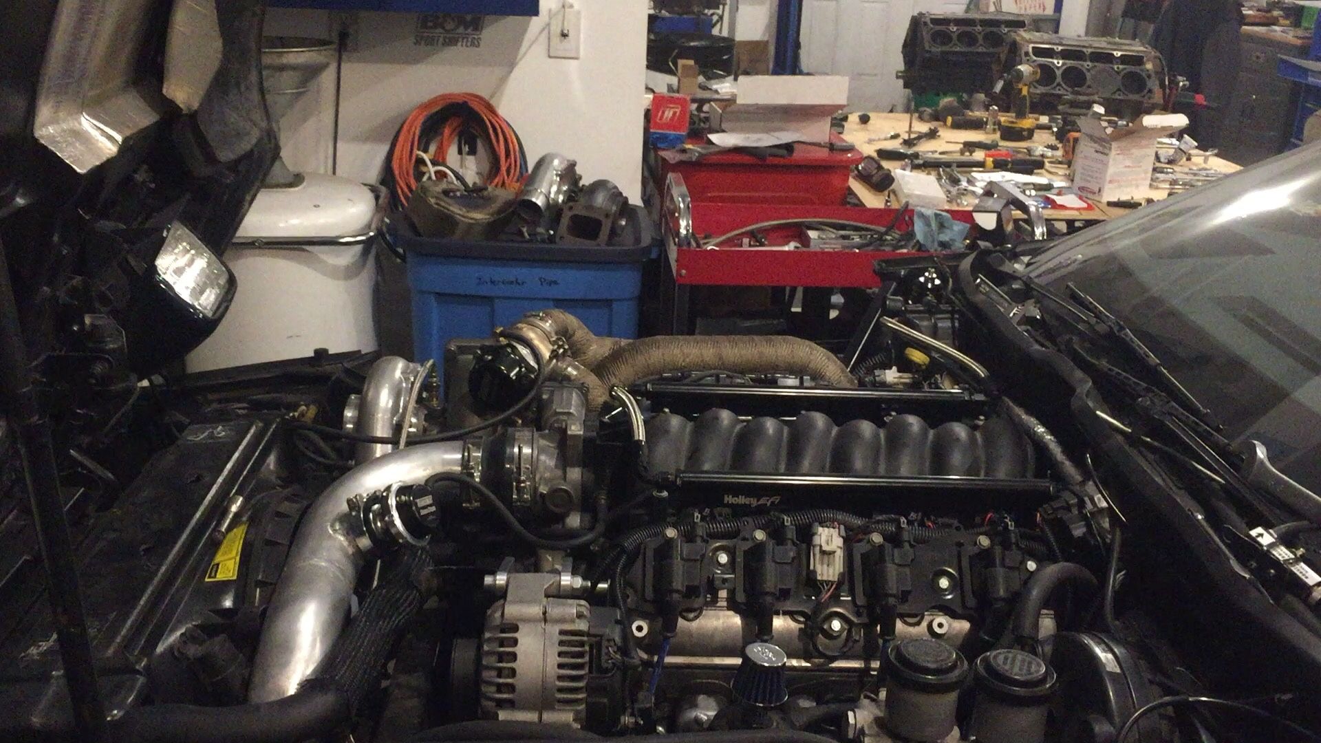 iOS Image - 2554502290.jpg