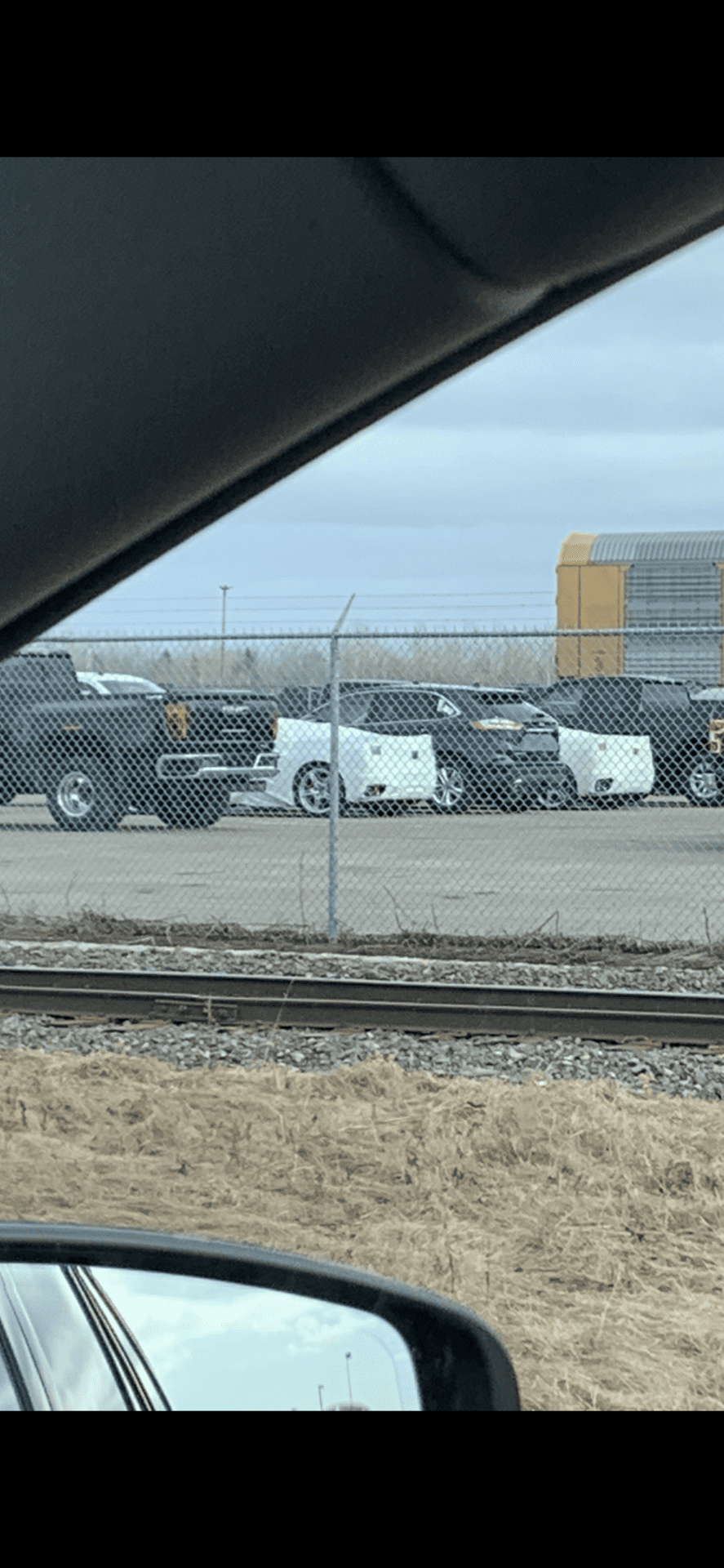 iOS Image - 2616186521.png