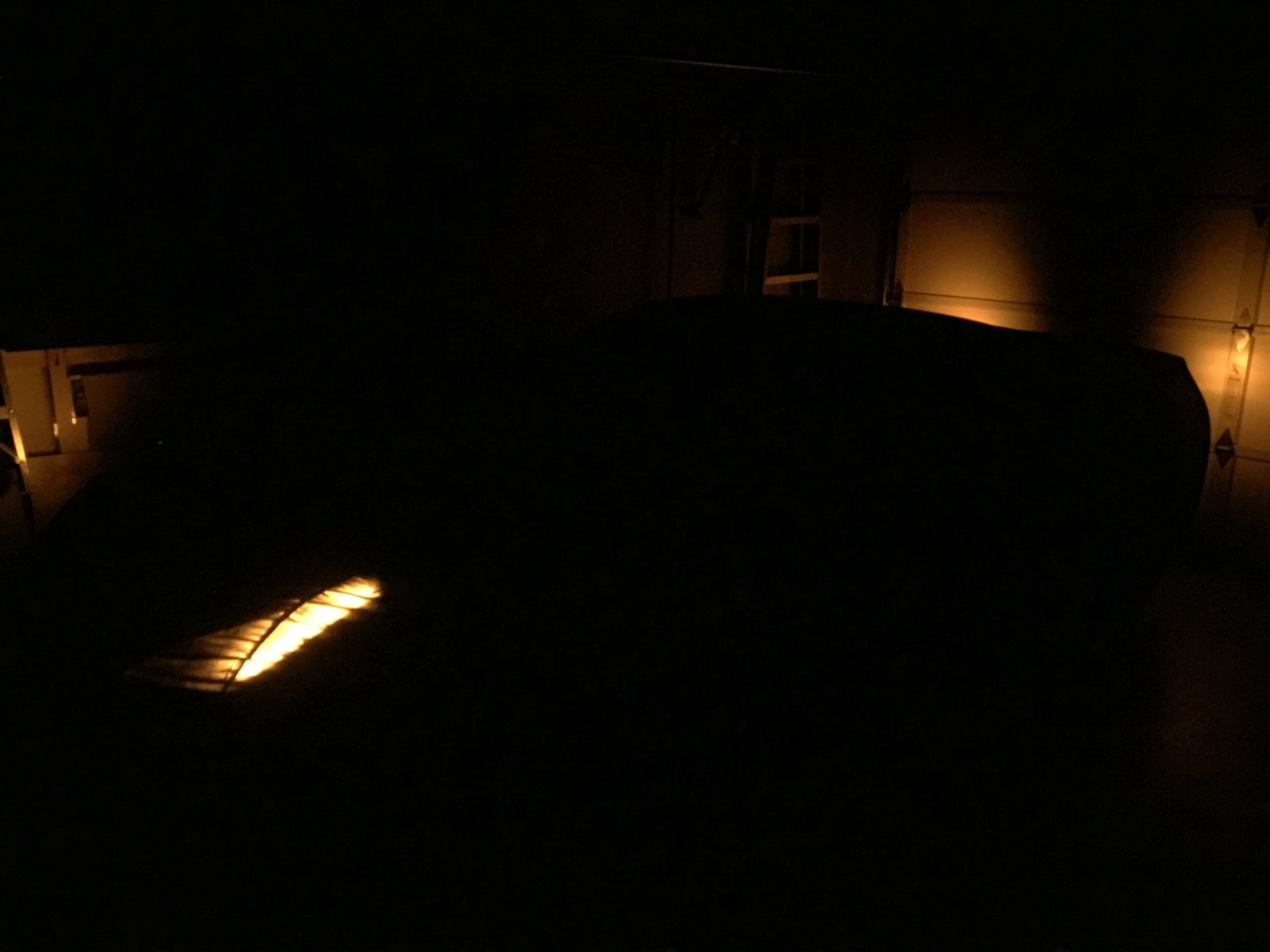 iOS Image - 2833921660.jpg