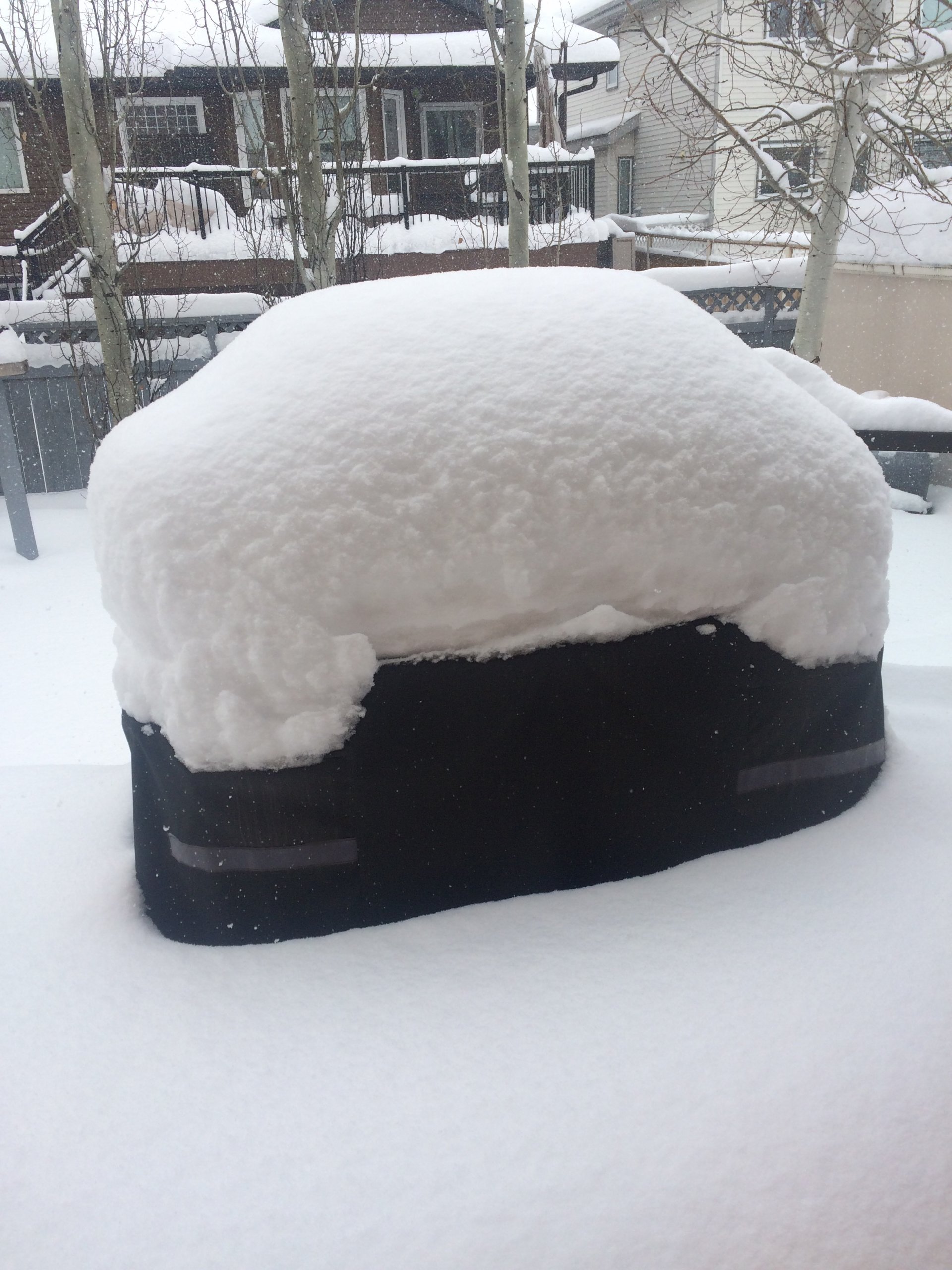 iOS Image - 2889444528.jpg