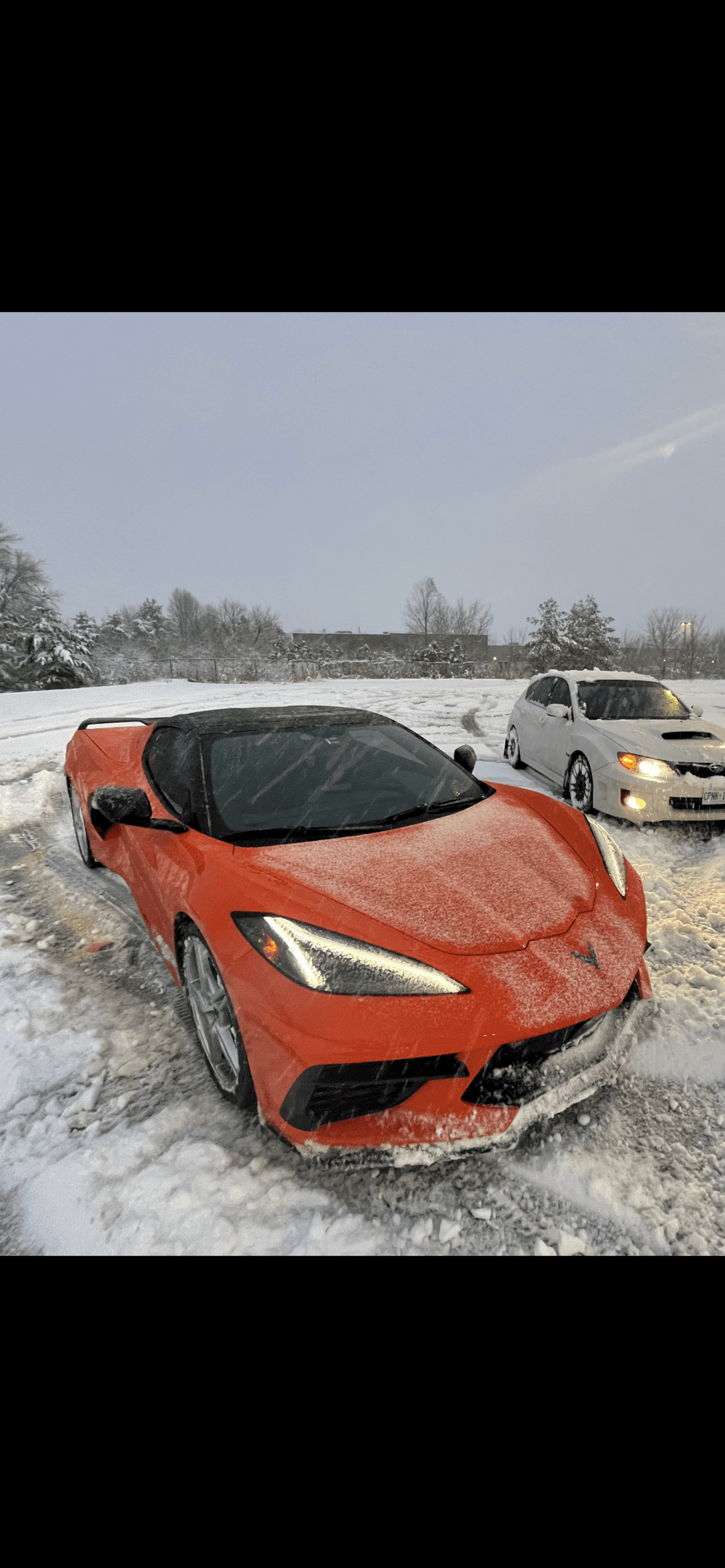 iOS Image - 3015511562.png