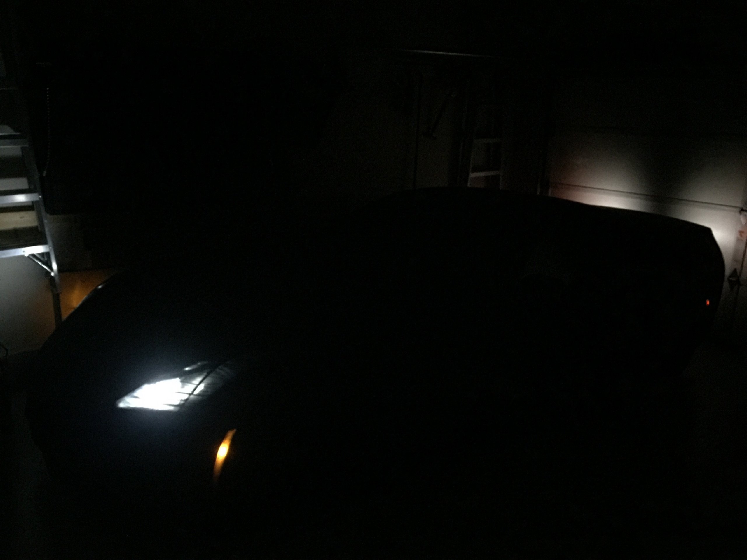 iOS Image - 3098152536.jpg