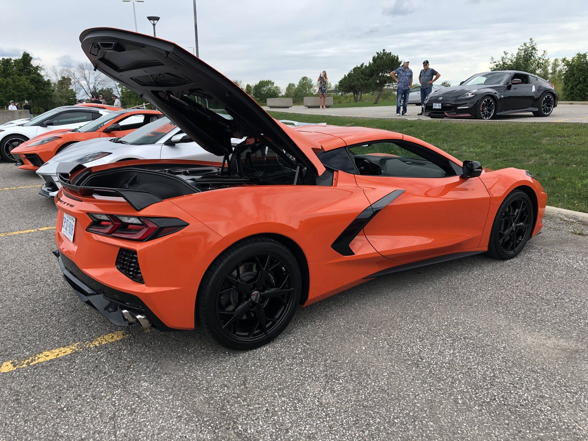 iOS Image - 3291558951.jpg