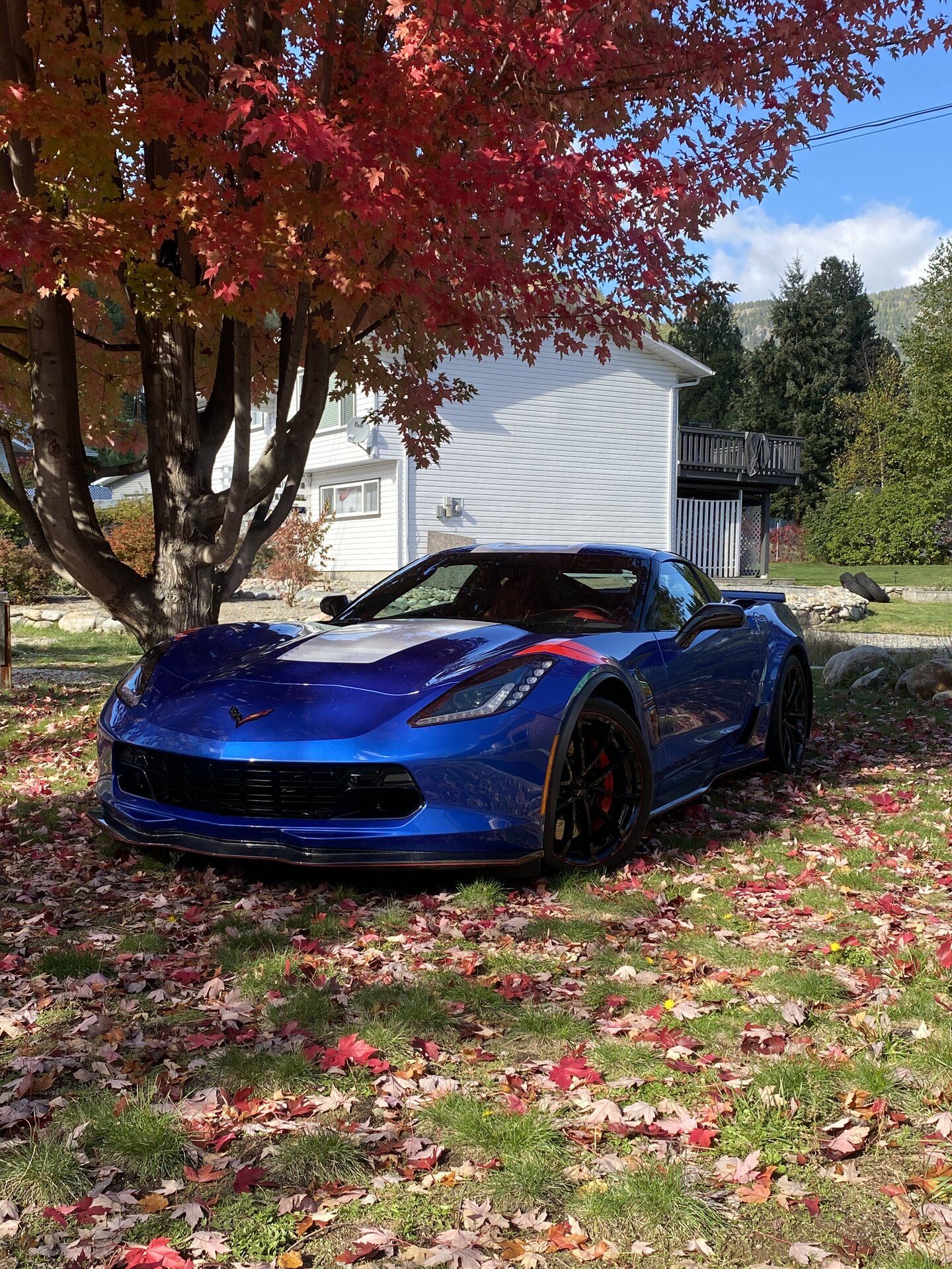 iOS Image - 3308488945.jpg