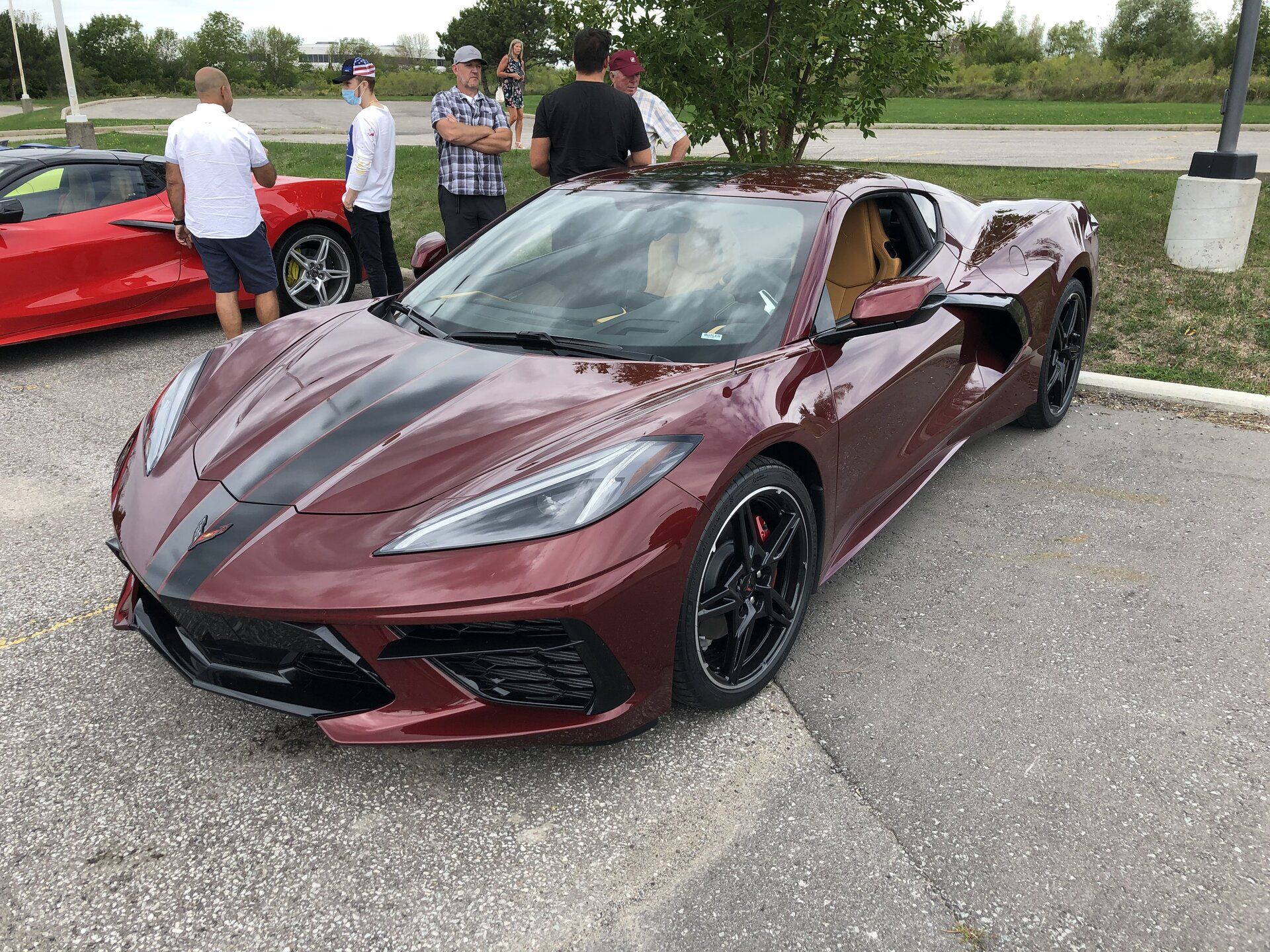 iOS Image - 3338929984.jpg