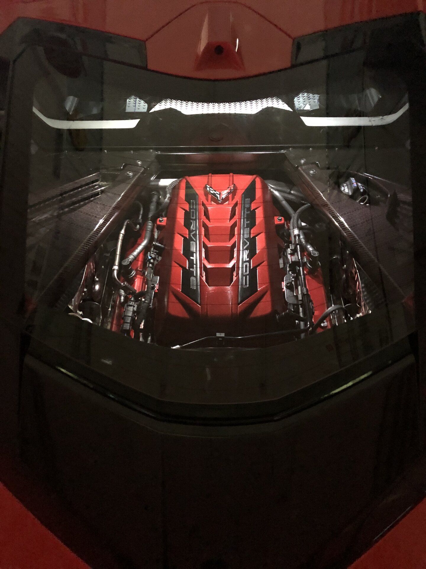 iOS Image - 3349264393.jpg