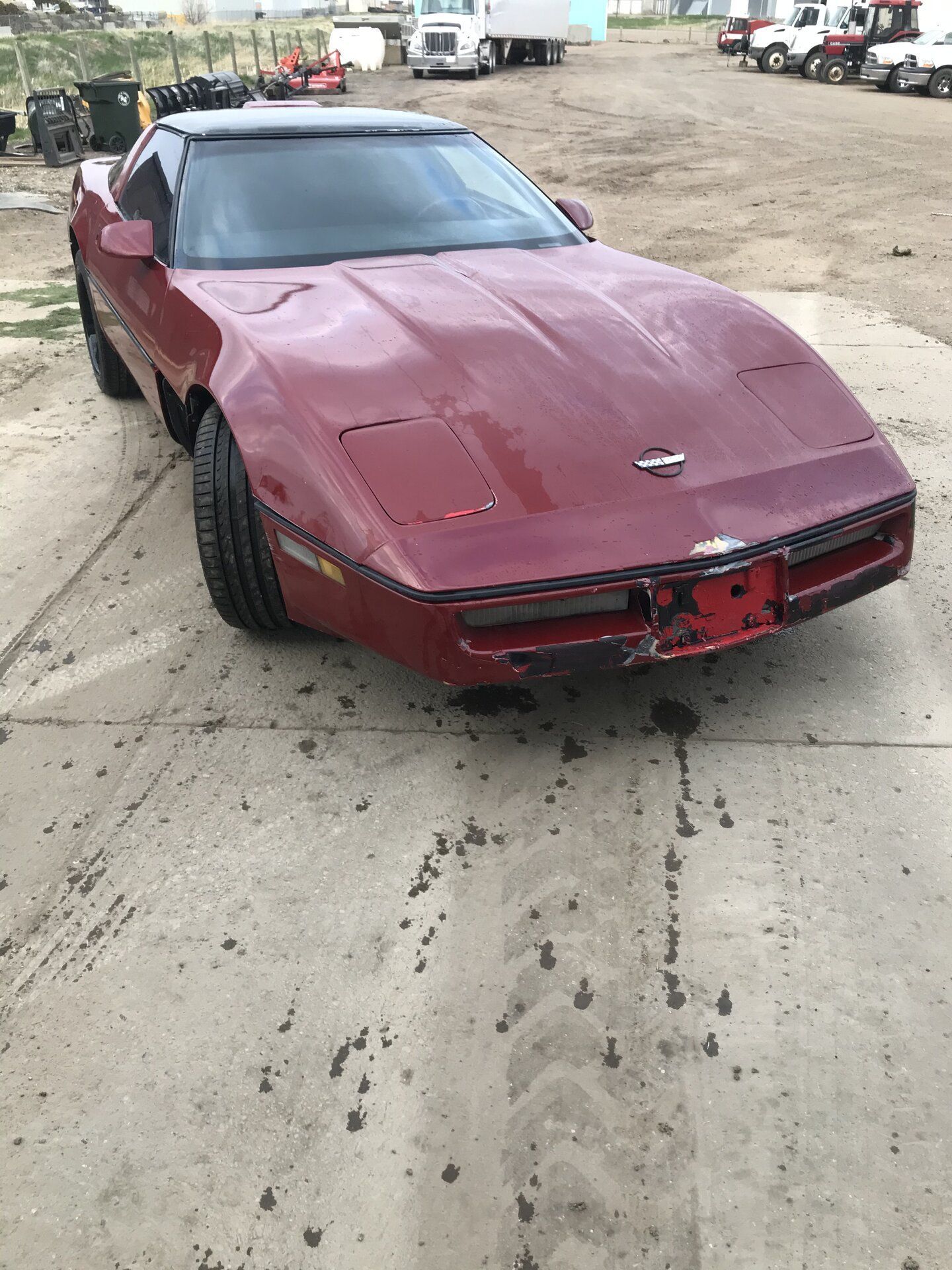 iOS Image - 355587795.jpg