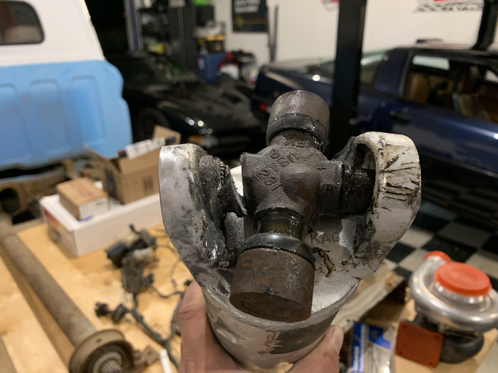 iOS Image - 3621031744.jpg