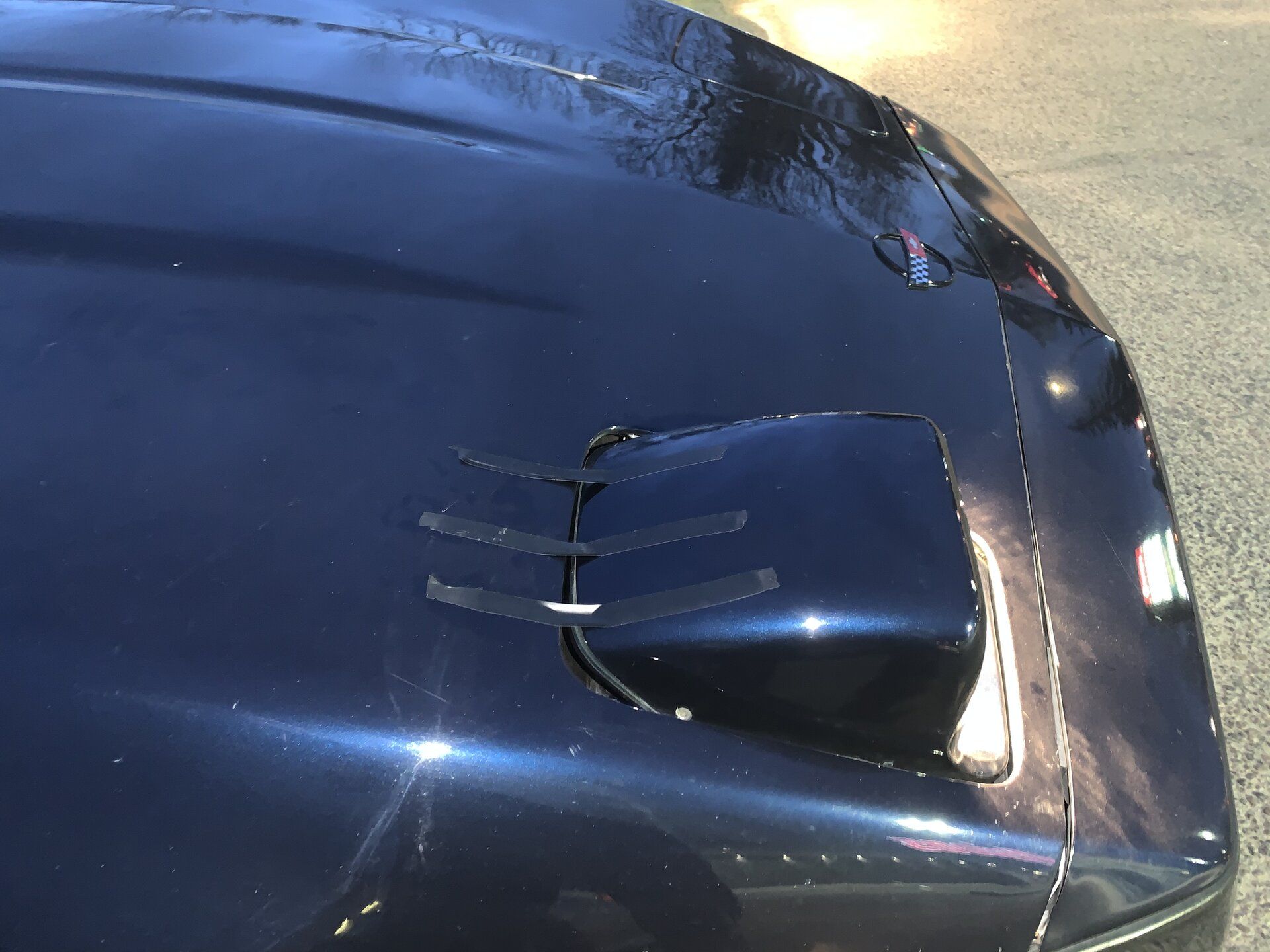 iOS Image - 3976688412.jpg