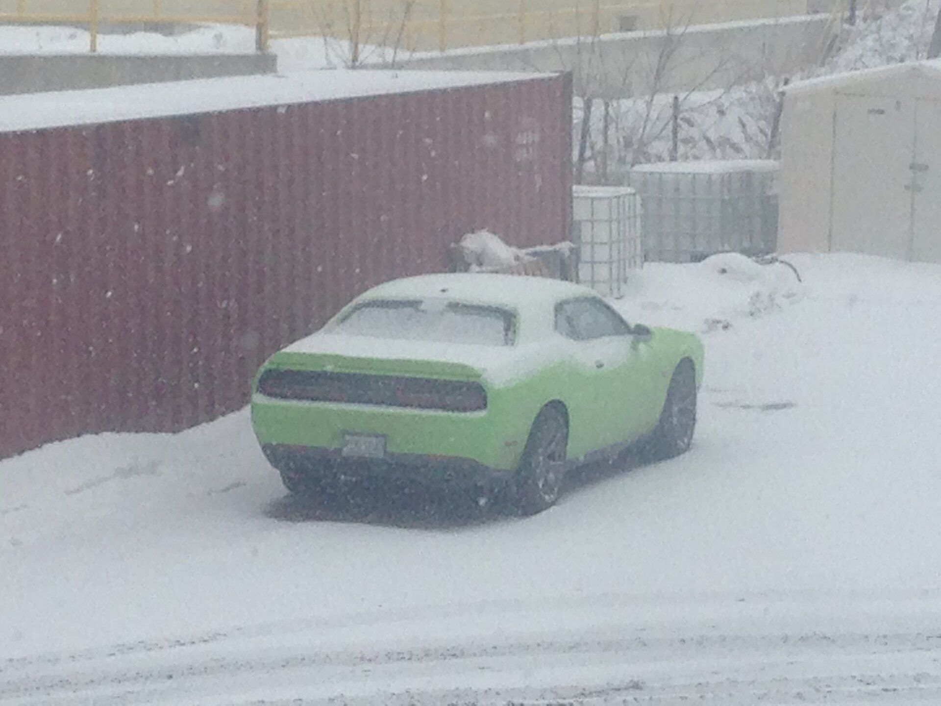 iOS Image - 605371074.jpg