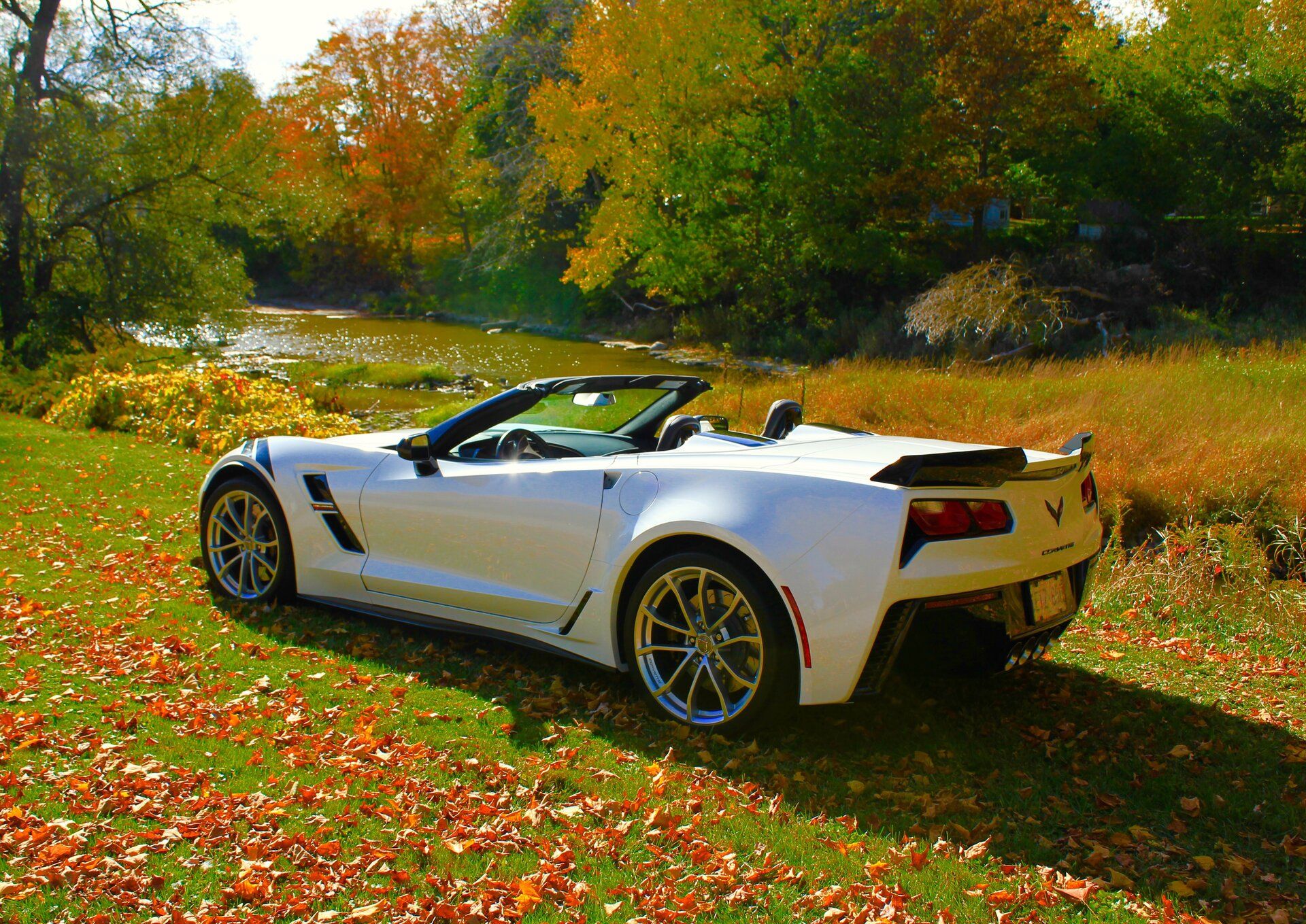 iOS Image - 820749426.jpg