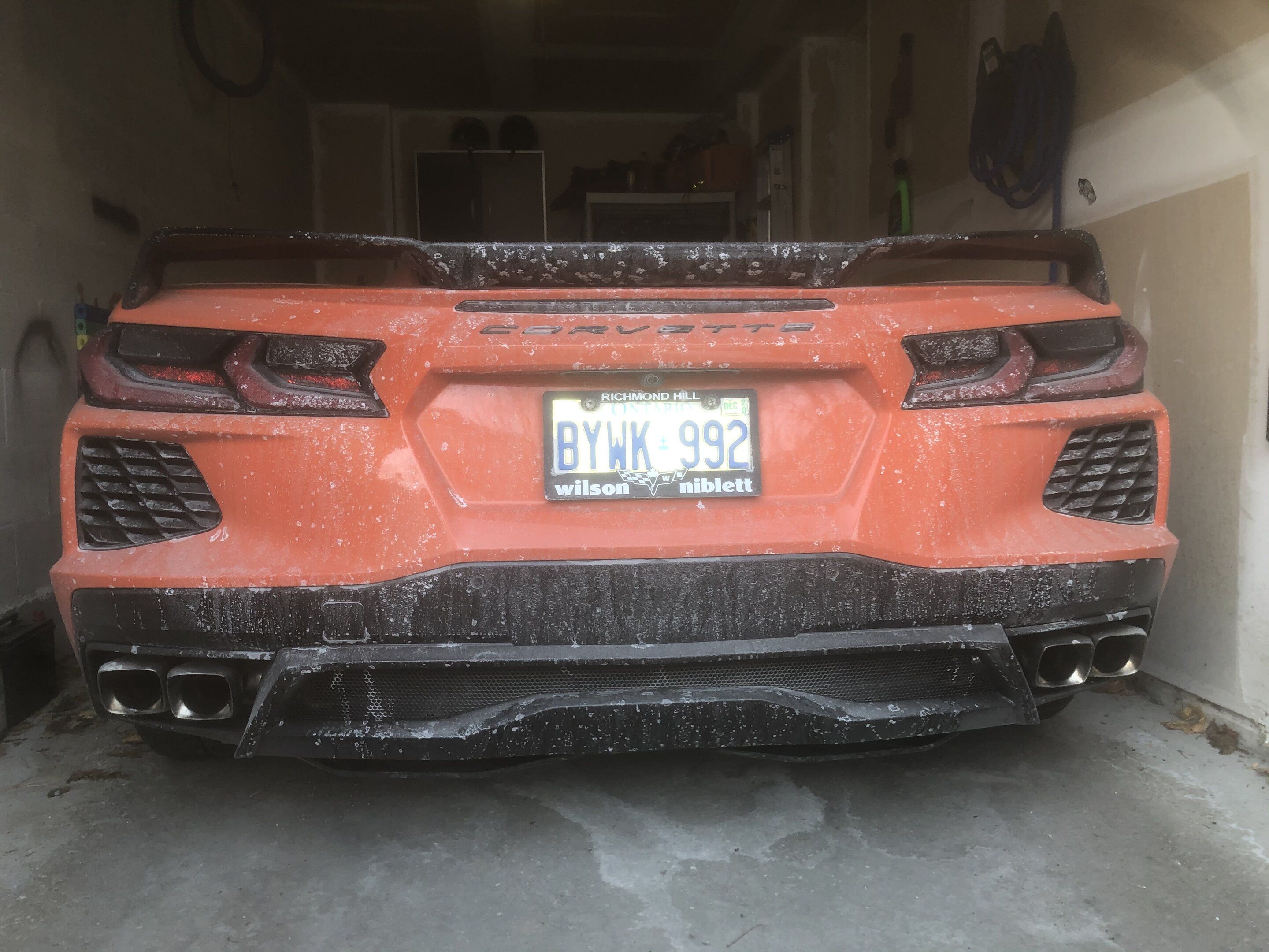 iOS Image - 89376581.jpg