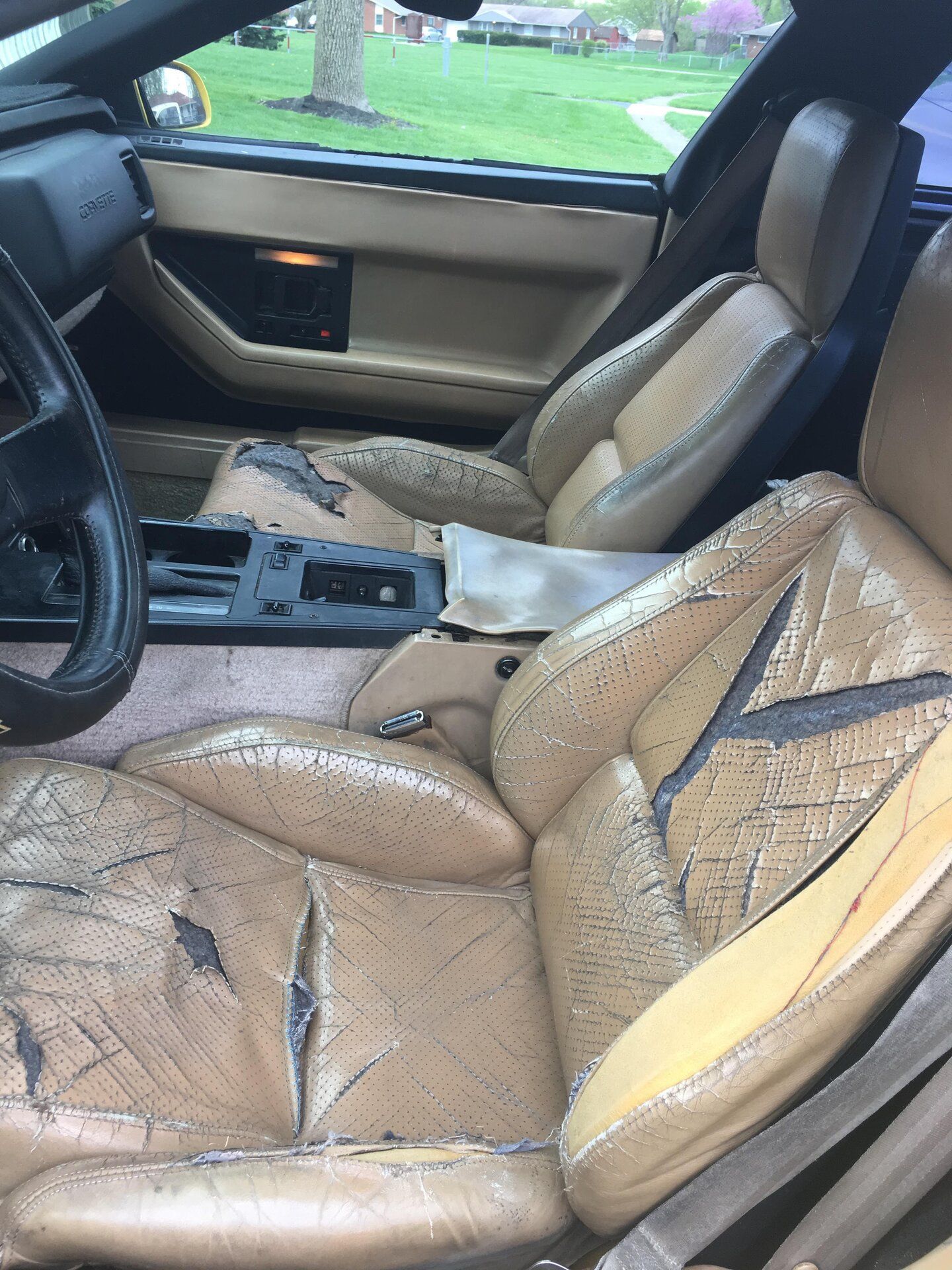 iOS Image - 989433754.jpg