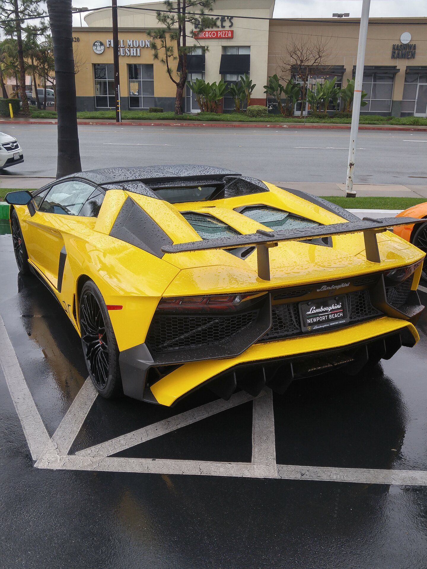 lambo6.jpg
