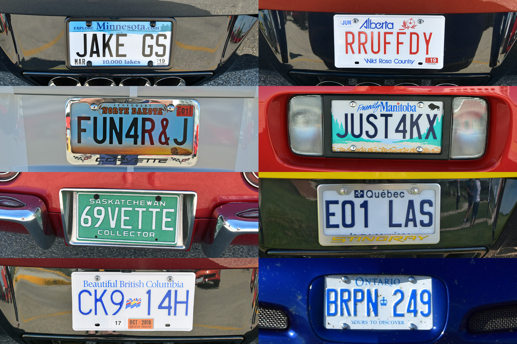 license_plates.jpg