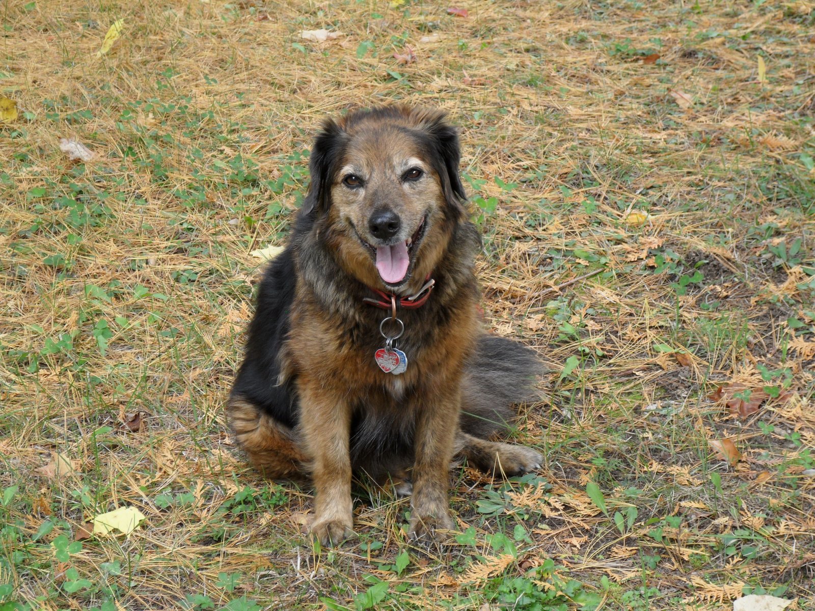 oct. 5 2012 lot pics 018.JPG